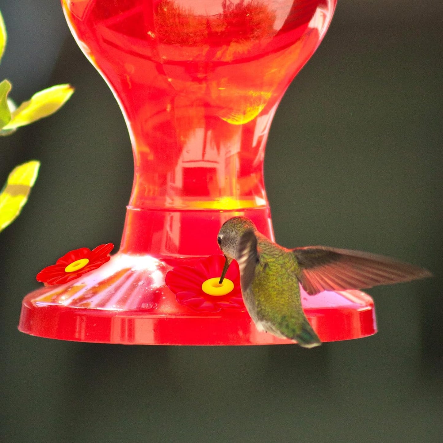 30pcs Hummingbird Feeders Replacement Flowers, PP Colorful Humming Bird Flowers with 2 Cleaning Brush Accessories Parts Bee Guards for Outdoors Hanging Feeders