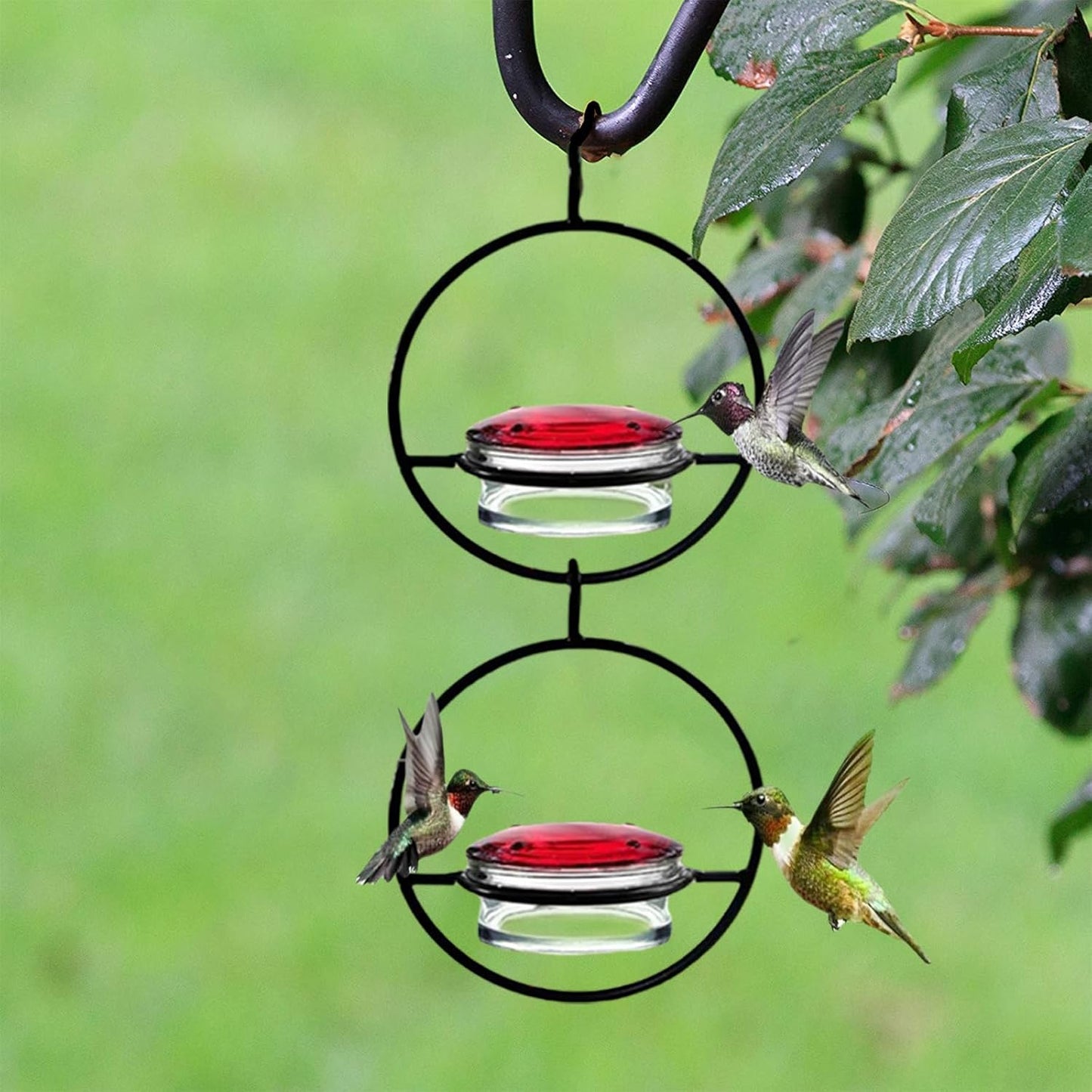 2025 New Model 3 Pack Humble Slim Hummingbird Feeder - Circular Leak-Resistant Design, Easy Clean & Fill, Outdoor Hanging Feeders for Garden, Backyard, Patio, Window (Red)