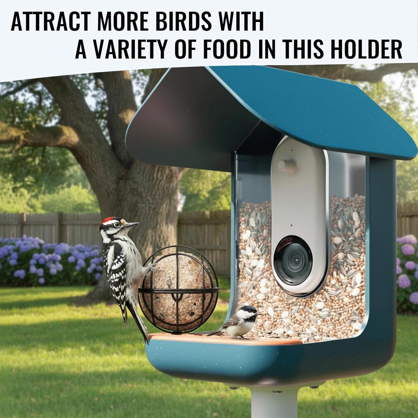 Upgraded Black Metal Suet Ball Holder – Compatible with Bird Buddy Feeders & Others Using 5mm Screw Holes, Add-on Accessory with M5 Screw & Mini Wrench