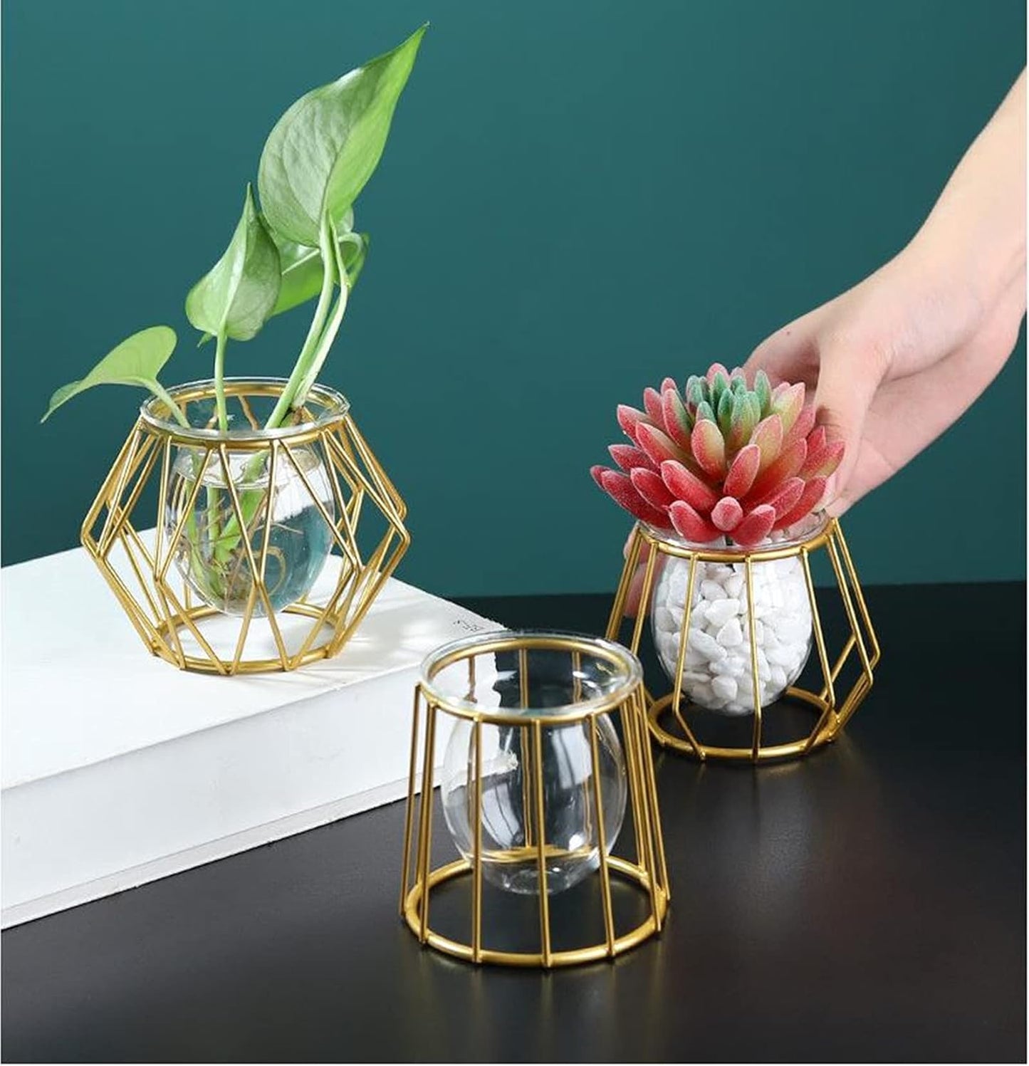 Glass Vase Nordic Small Flower Vase Clear Glass Bud Vases with Metal Geometric Iron Line Cup Vase Pot for Hydroponic Planter Flowers Rack Stand Modern Home Décor Desktop Table Vase Decor (Black,D)