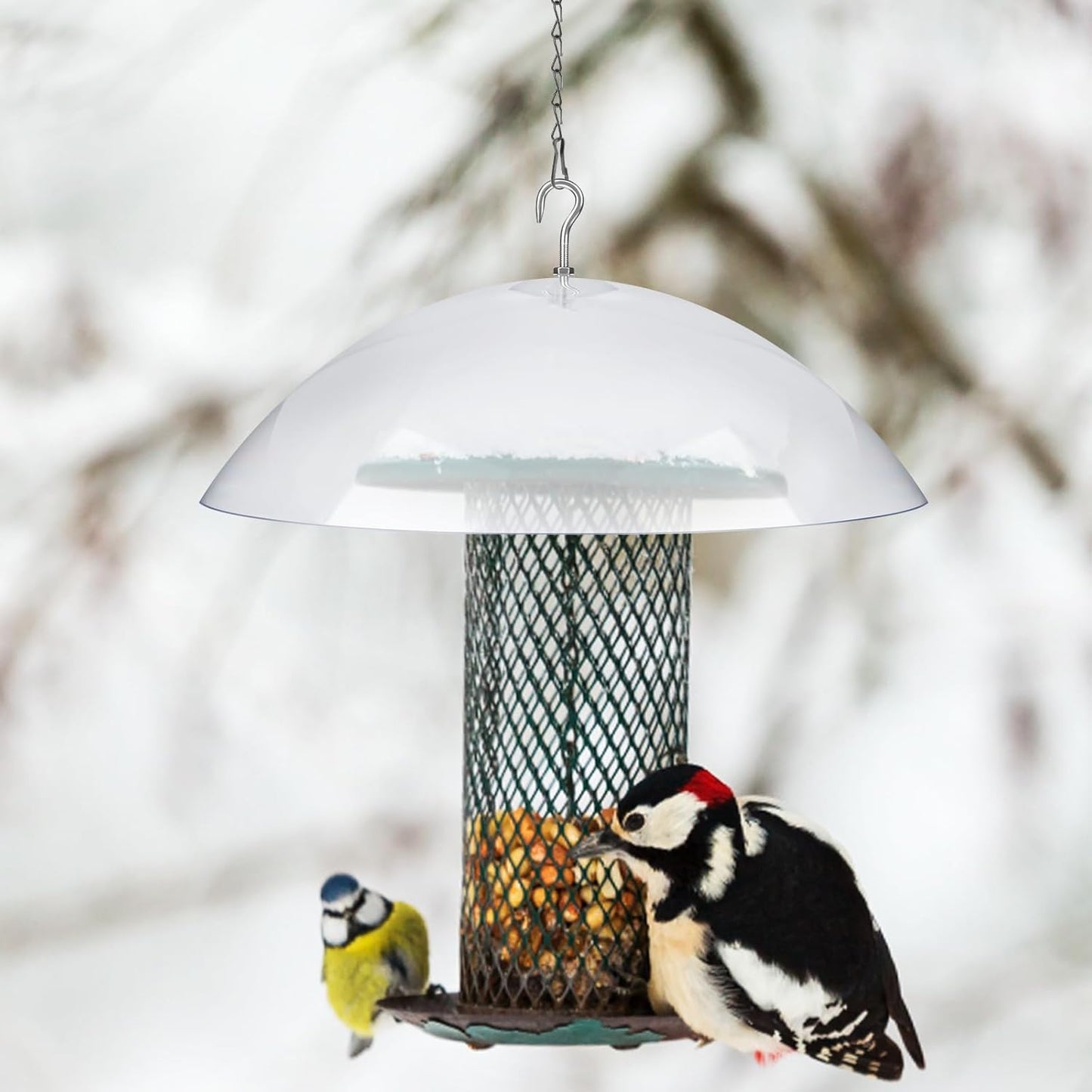 2 Pcs Bird Feeders Protective Cover Clear Squirrel Baffle Bird Feeder Squirrel Guard Round Protective Dome Rain Protective Cover with Chains for Hanging Bird Feeders Outdoor Garden - 10''
