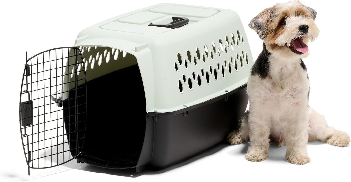 Petmate Pet Porter Fashion Dog Kennel Plastic Crate for Pets 15-20 lbs