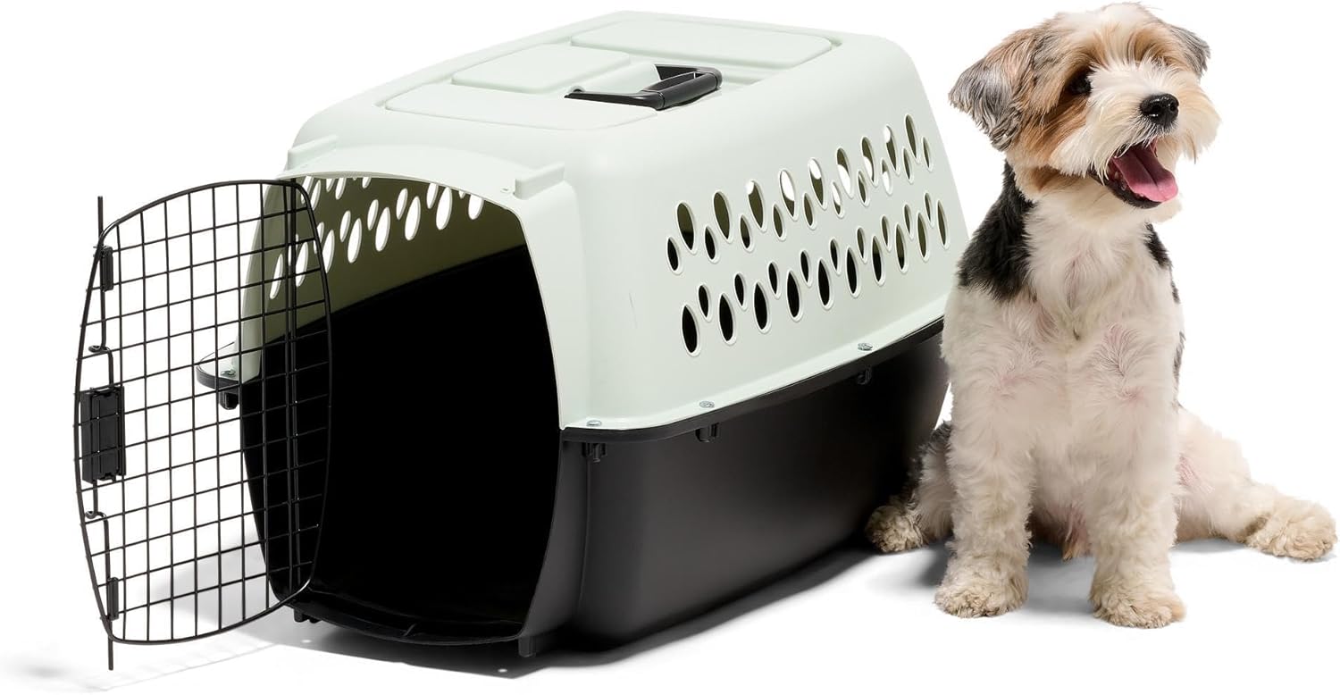 Petmate Pet Porter Fashion Dog Kennel Plastic Crate for Pets 15-20 lbs