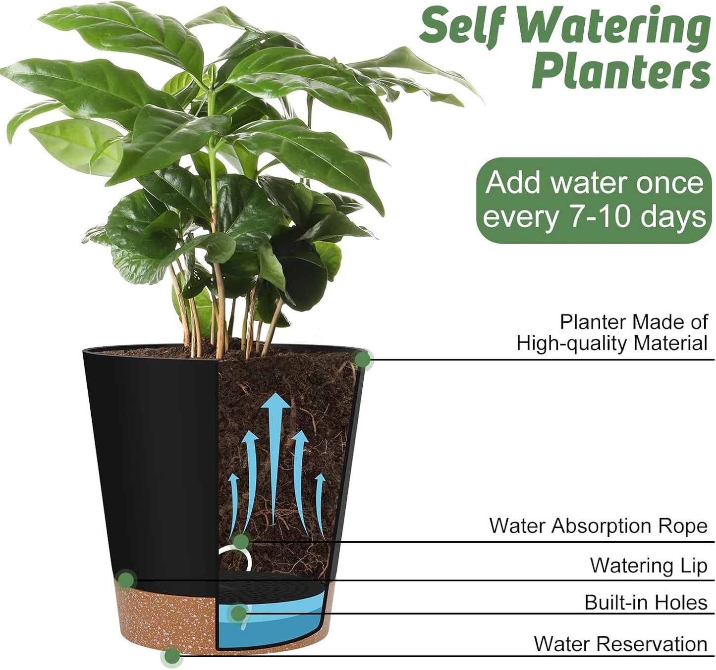 Indoor Self Watering Planters with Drainage Holes and Saucers, 8, 7, 6