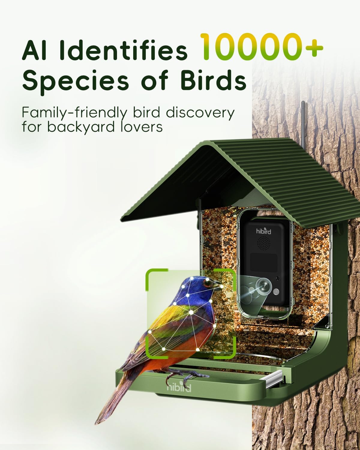 Hibird 4K HD Smart Bird Feeder with Camera, 2.4G/5G Dual WiFi Wireless Outdoor, Auto Higher Resolution Bird Video Capture, AI Identify 10000+ Species, 1080P Live Function for Everyone