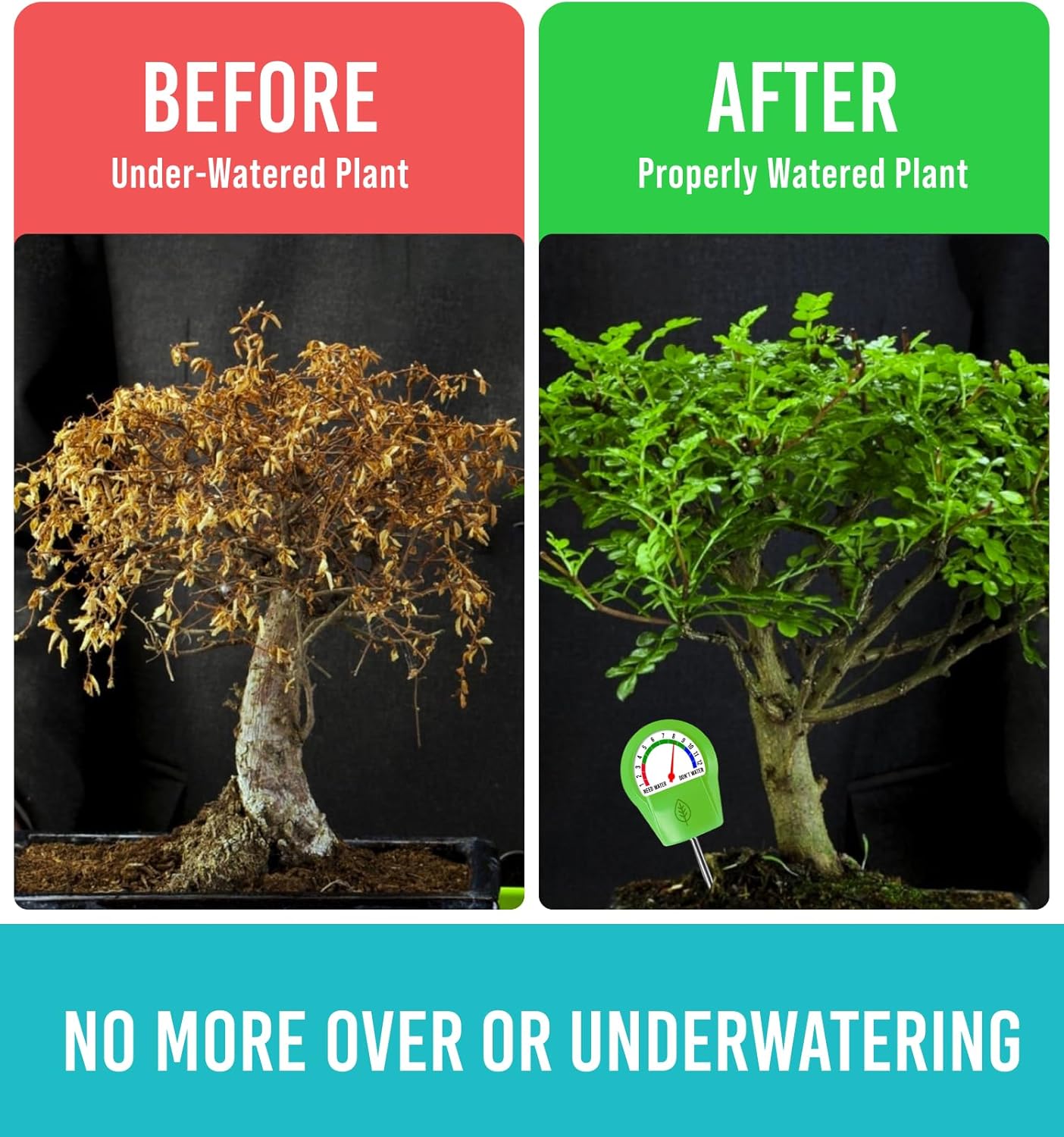 GROWIT Plant Moisture Meter - Accurately Tells You When to Water Your 
