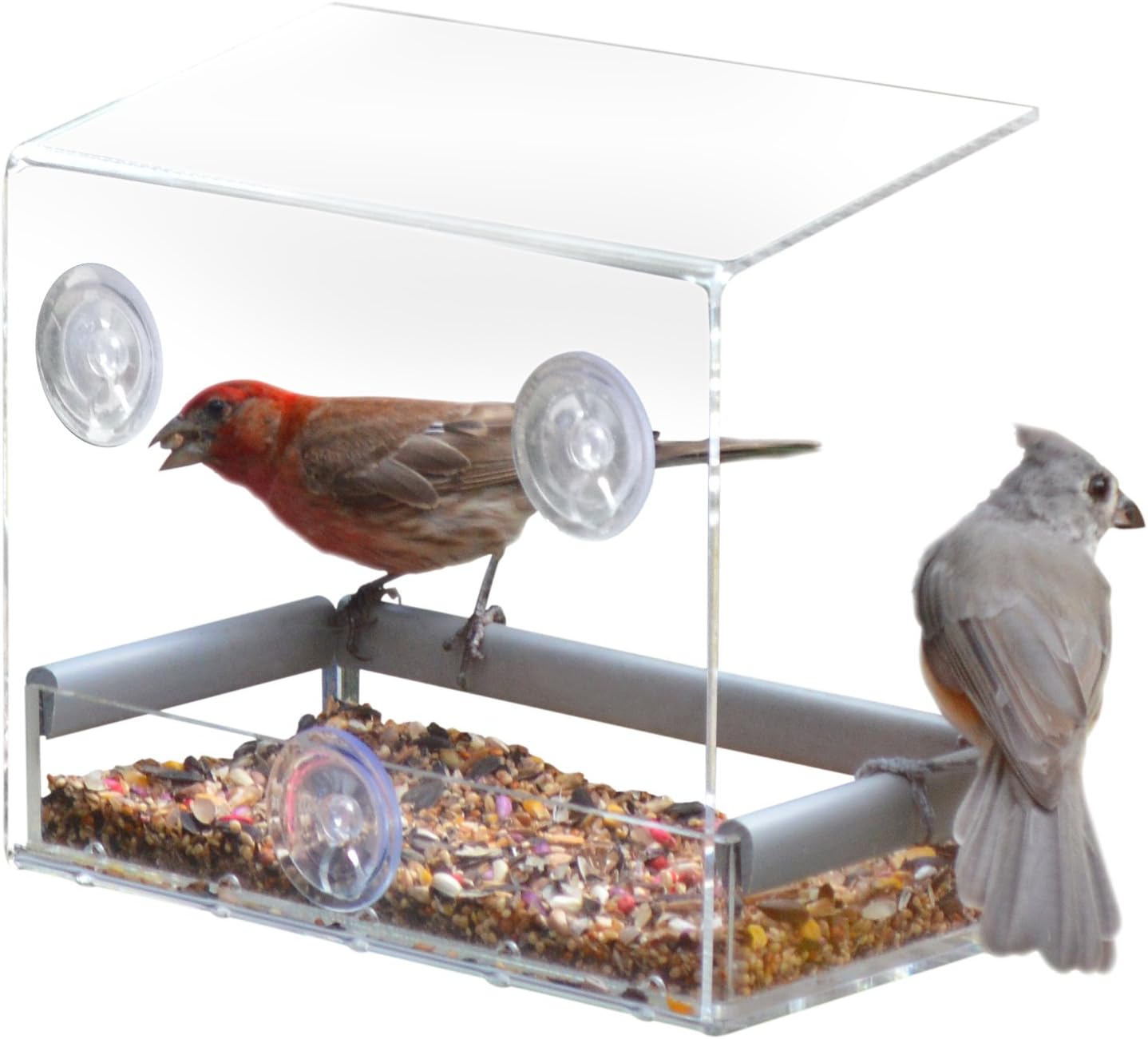 PetFusion Tranquility Window Bird Feeder in Premium Lucite Acrylic. (I) Removable Tray, (II) 3 Perches, Clear