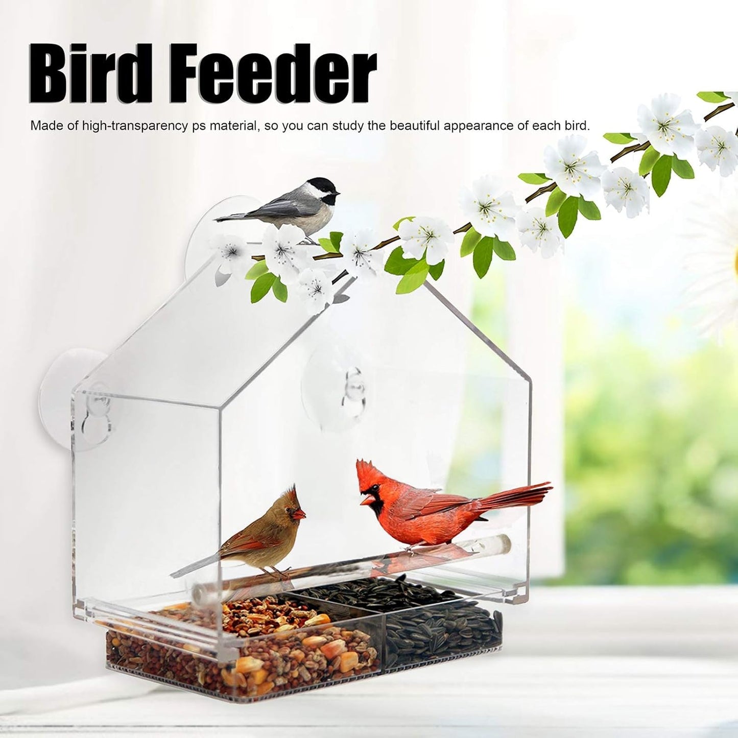Window Bird Feeder, Transparent Bird Feeding Tool with Suction Cups fo