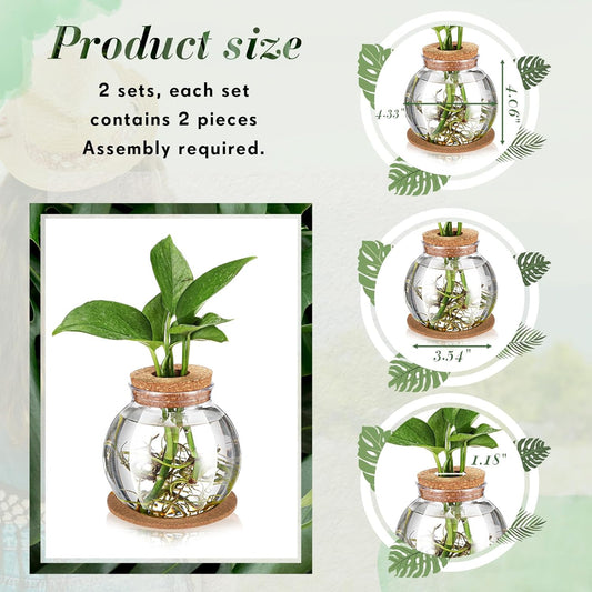 Baderke 2 Packs Propagation Vases for Plants Plastic Plant Propagation Station with Hole Lid and Cork Coasters Plant Growing in Water Hydroponic Home Office Table Decoration(Fish Bowl Style)
