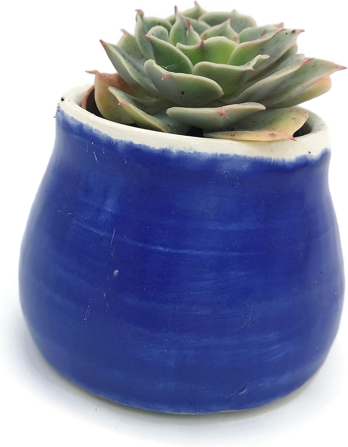 Mini Succulent Planter Pot, Royal Blue Ceramic Decorative Vase for Cactus, Office Desk Accessories for Men