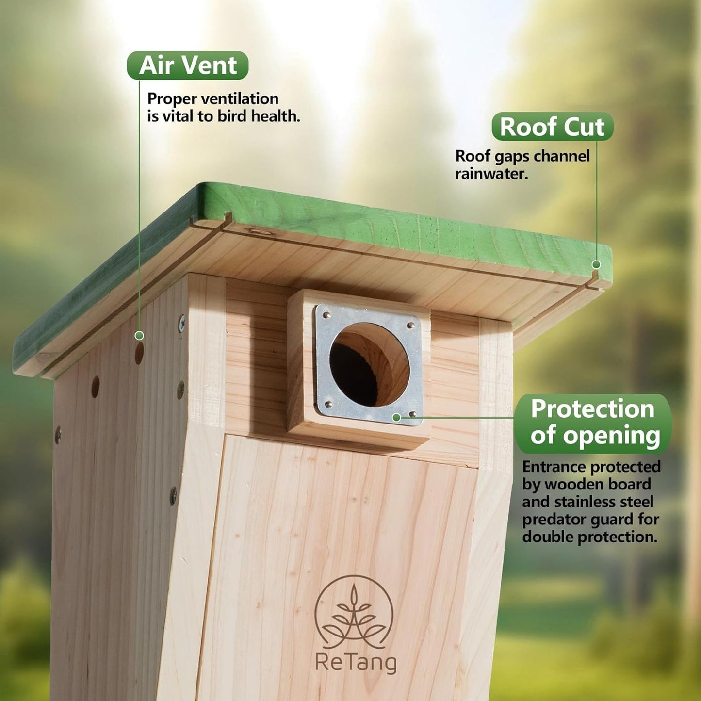 3/4 Inch Thick Cedar Bird House with Metal Predator Guard | Squirrel Proof Nesting Box for Easy Cleaning | Outdoor Wooden Bluebird House for Wild Bird Watching, Swallow, Wren, Chickadee