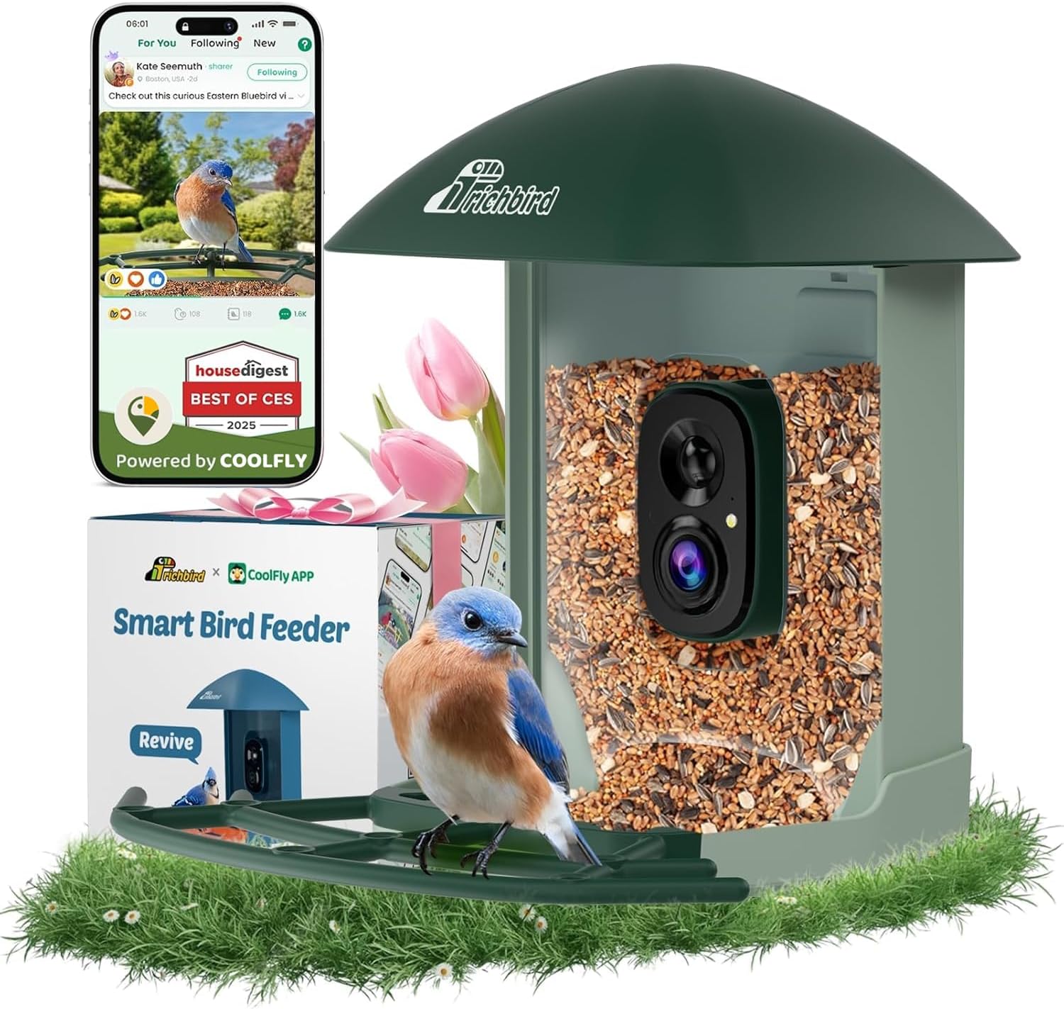 Smart Bird Feeder with 4MP HD Camera, Birdwatching Camera with Free AI