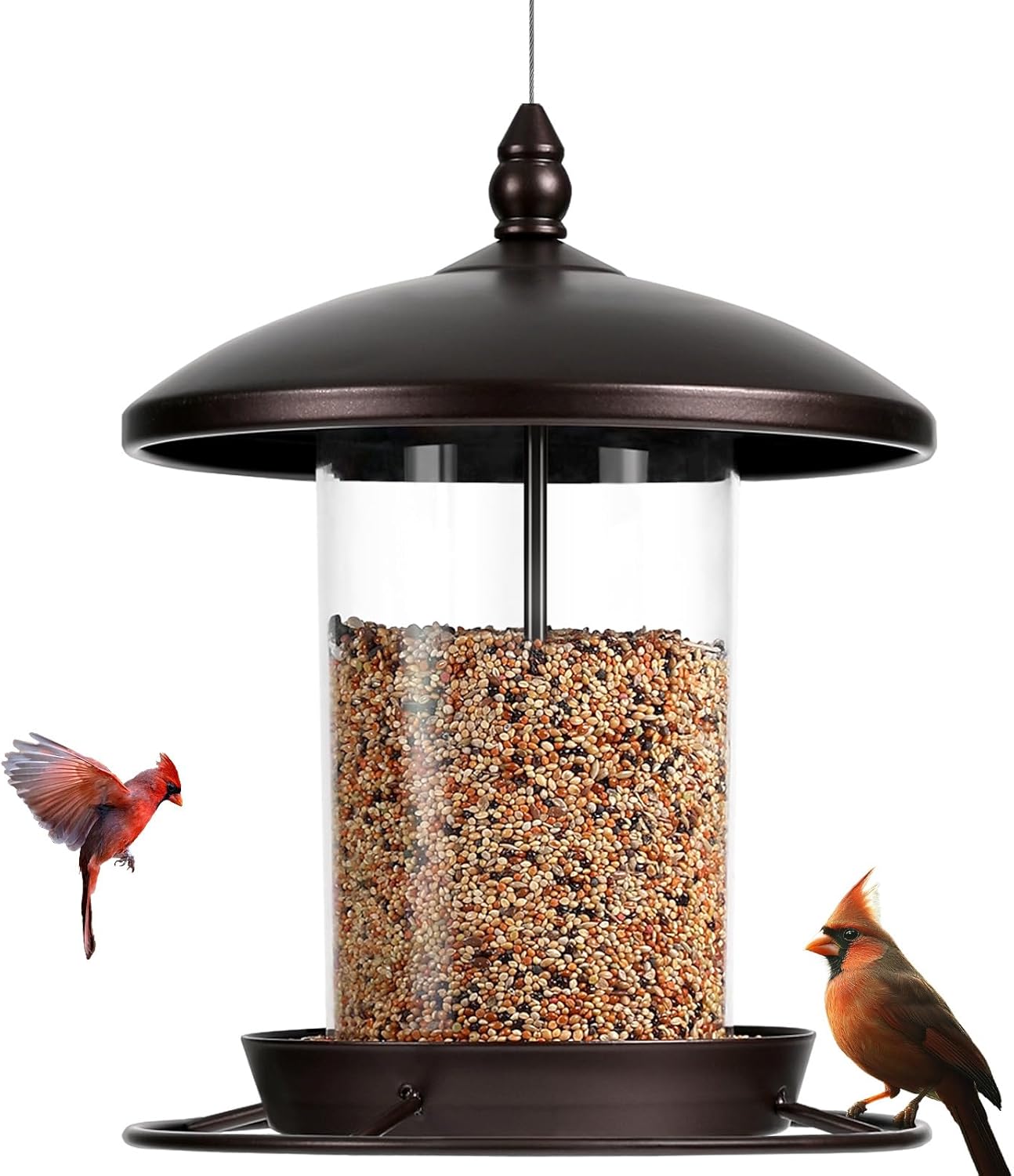 Metal Bird Feeder for Outdoors Hanging,3.0LB Seed Feeder,Easy to Fill 