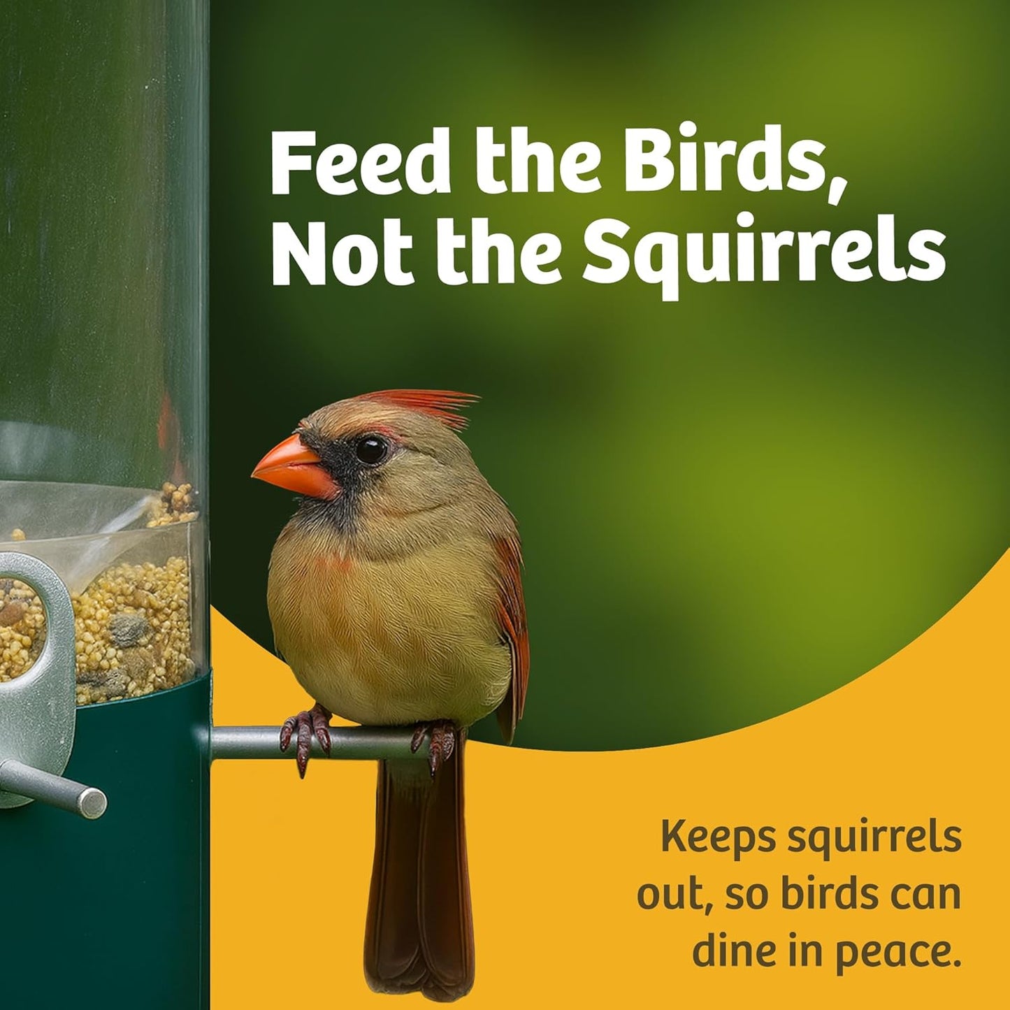 Birds Choice Classic Squirrel Proof Bird Feeder with Pole Mount | Tube Bird Feeder for Cardinals, Chickadees, Woodpeckers | Sturdy Steel for Long-Lasting Use | Backyard Bird Seed Dispenser | Green