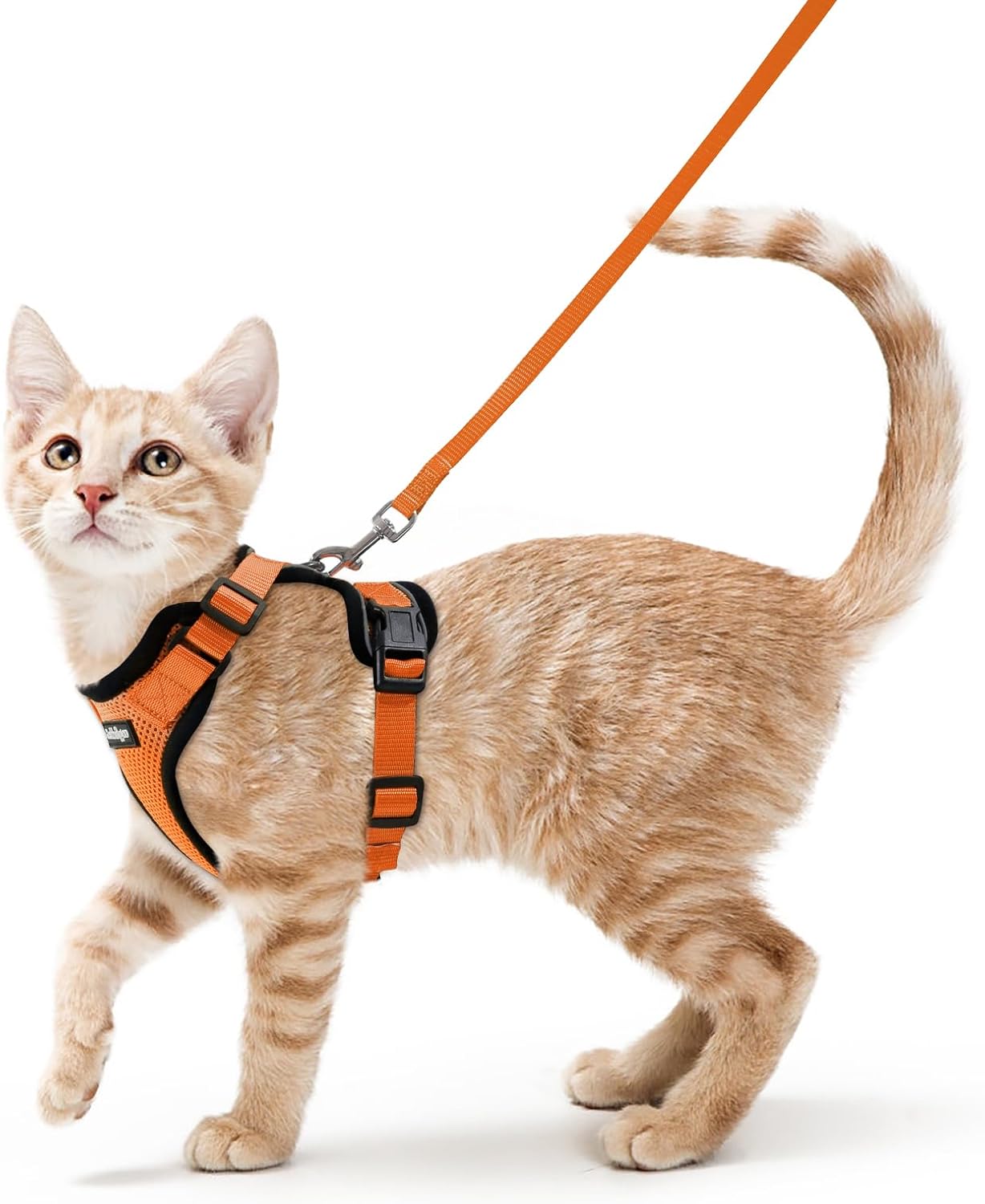 rabbitgoo Cat Harness and Leash for Walking, Escape Proof Soft Adjusta