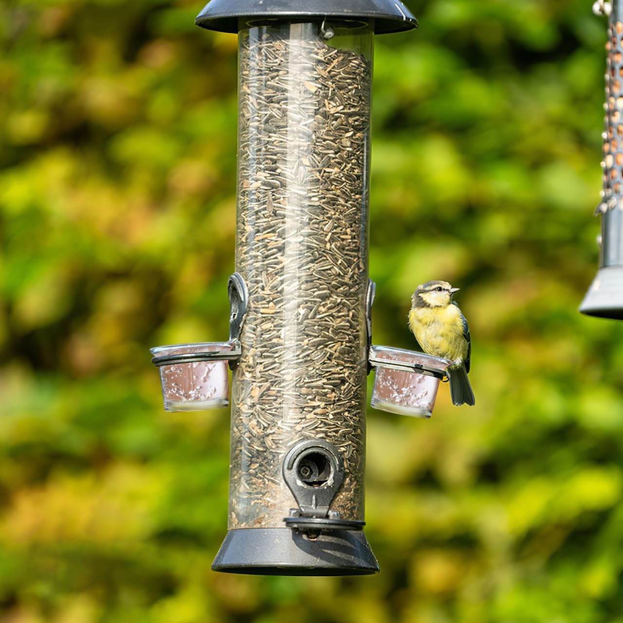 POPETPOP Hanging Bird Feeder Cup Metal Accessory for Outdoor Balcony Window Wild Birds Hummingbird Feeder Part Garden Decor