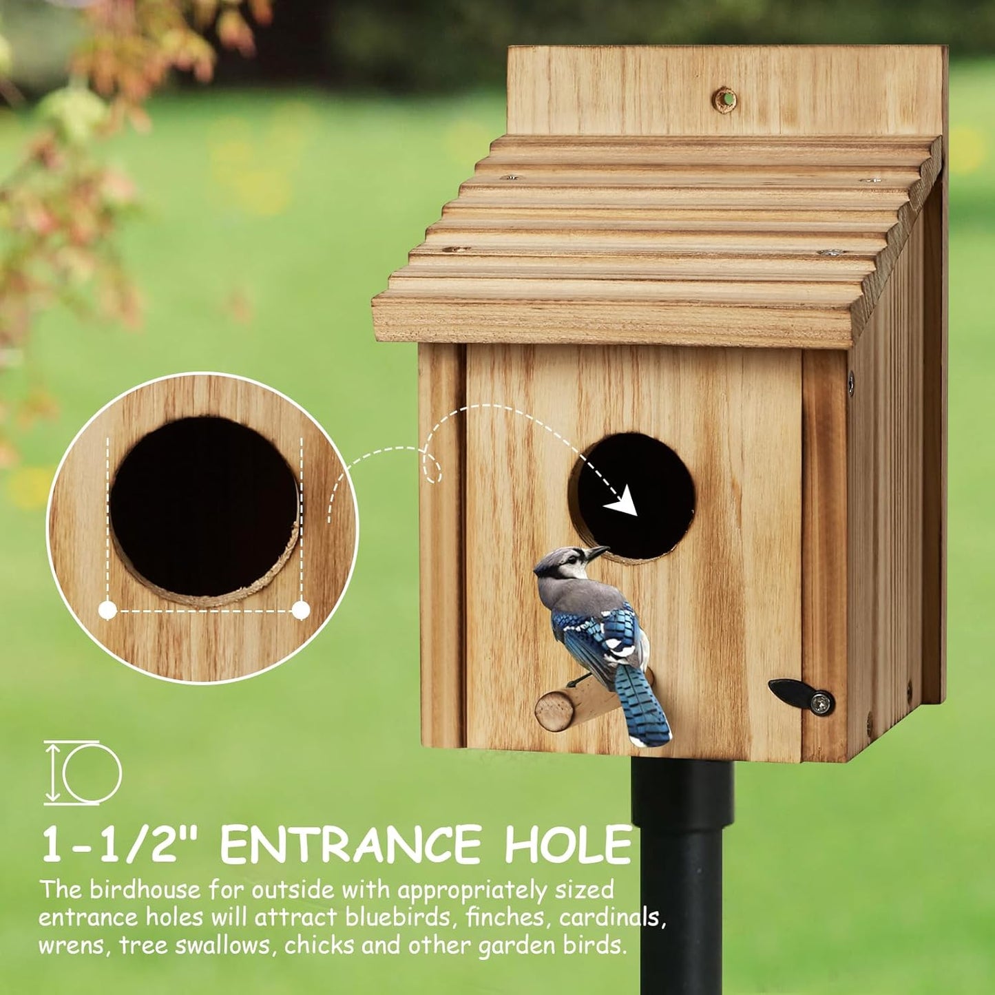 Outdoor Wooden Bird House, Birdhouse DIY Assembly Kit, Durable Bluebir