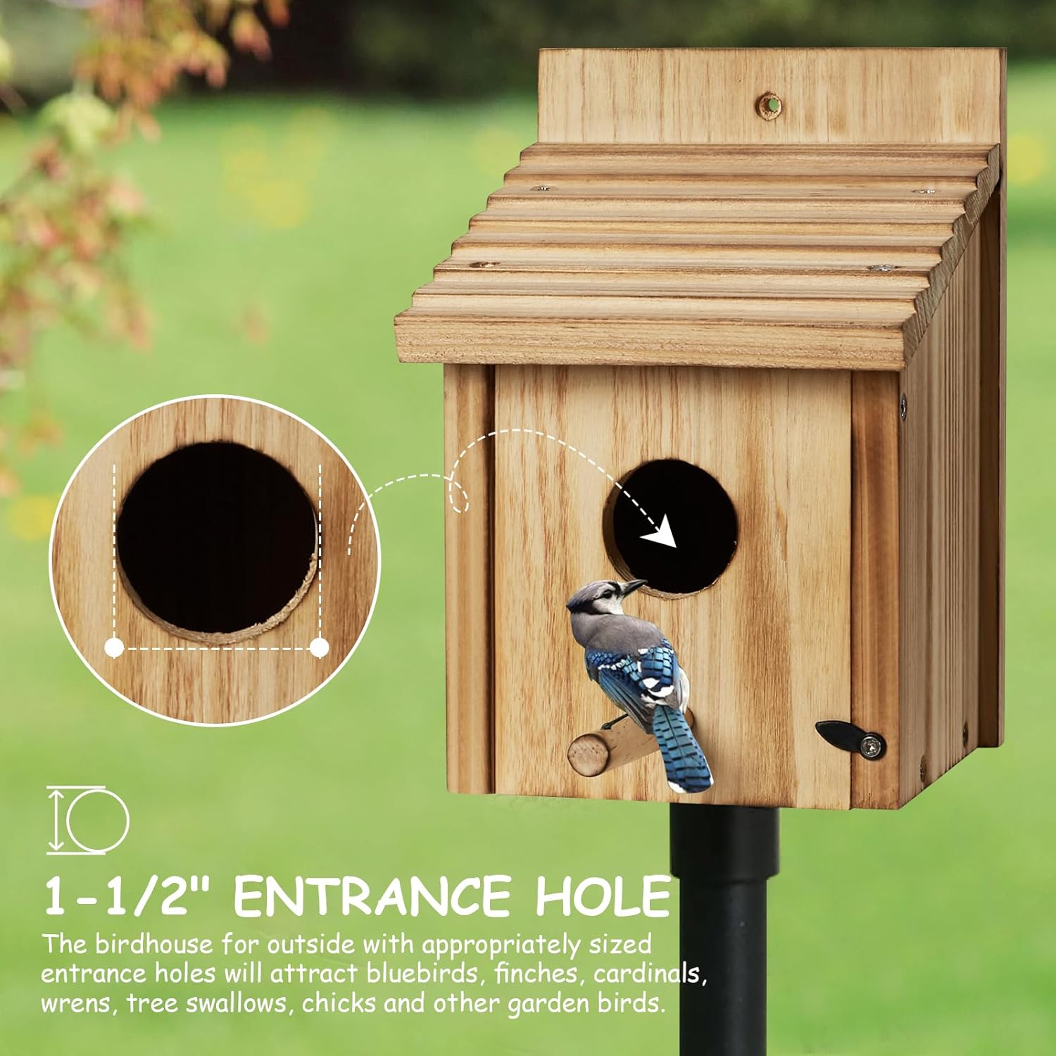 Outdoor Wooden Bird House, Birdhouse DIY Assembly Kit, Durable Bluebir