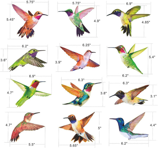 Anti-Collision Window Clings Bird Alert Collision Decals to Prevent Bird Strikes on Window Glass - Set of 12 Hummingbirds