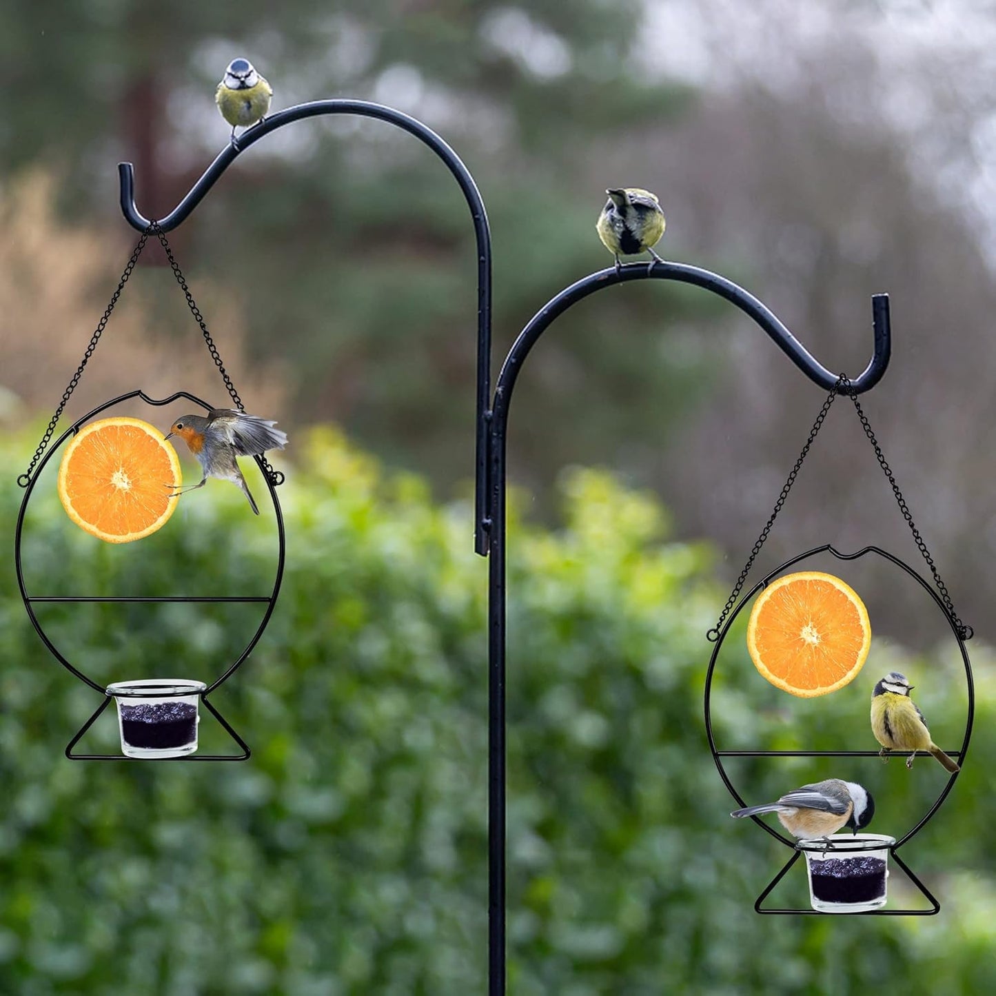Prsildan 2 Pcs Oriole Bird Feeders, Outdoor Bird Feeder with Orange Fruit Holder and Grape Jelly Grass, Outside Hanging Feeders for Baltimore Oriole Garden Yard