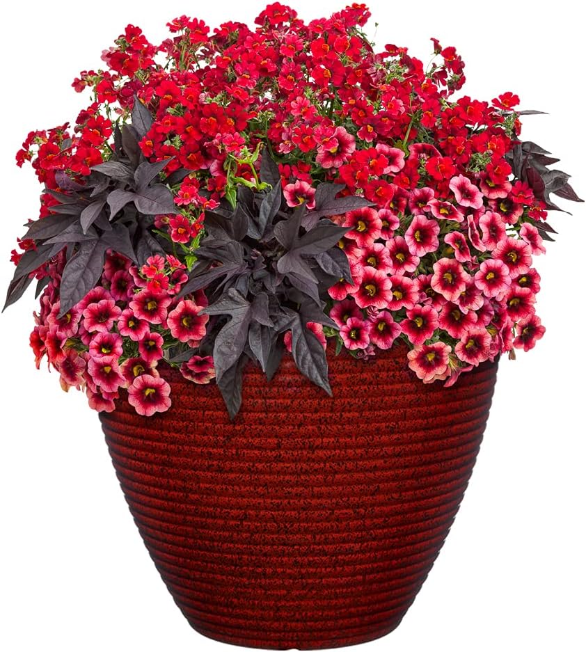 Classic Home and Garden Cali Modern Round Resin Planter for Indoor Out