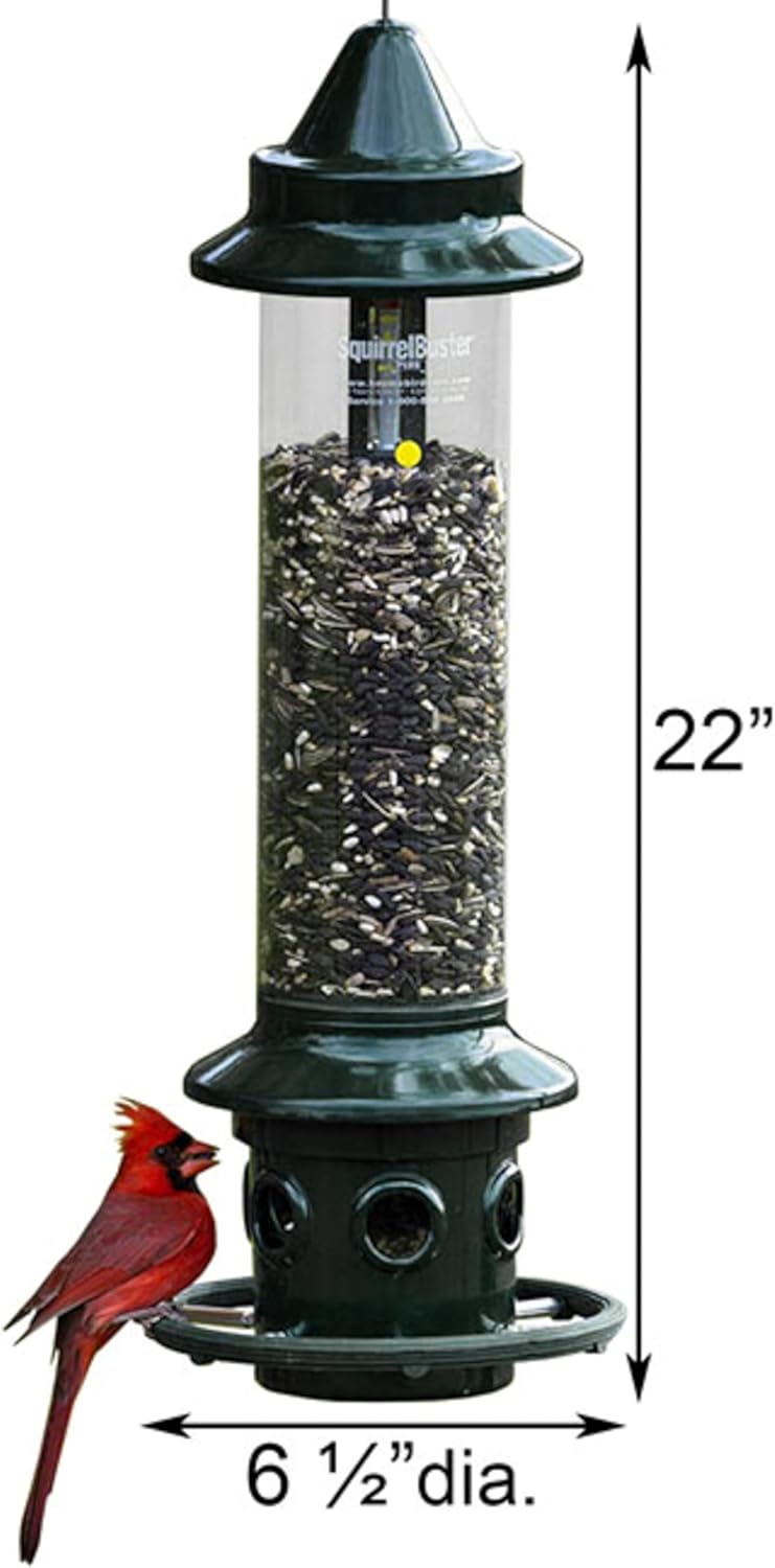 Brome,Squirrel Buster Plus 6"x6"x28" (w/hanger) Wild Bird Feeder with Cardinal Ring and 6 Feeding Ports, 5.1lb Seed Capacity, 2 Pack