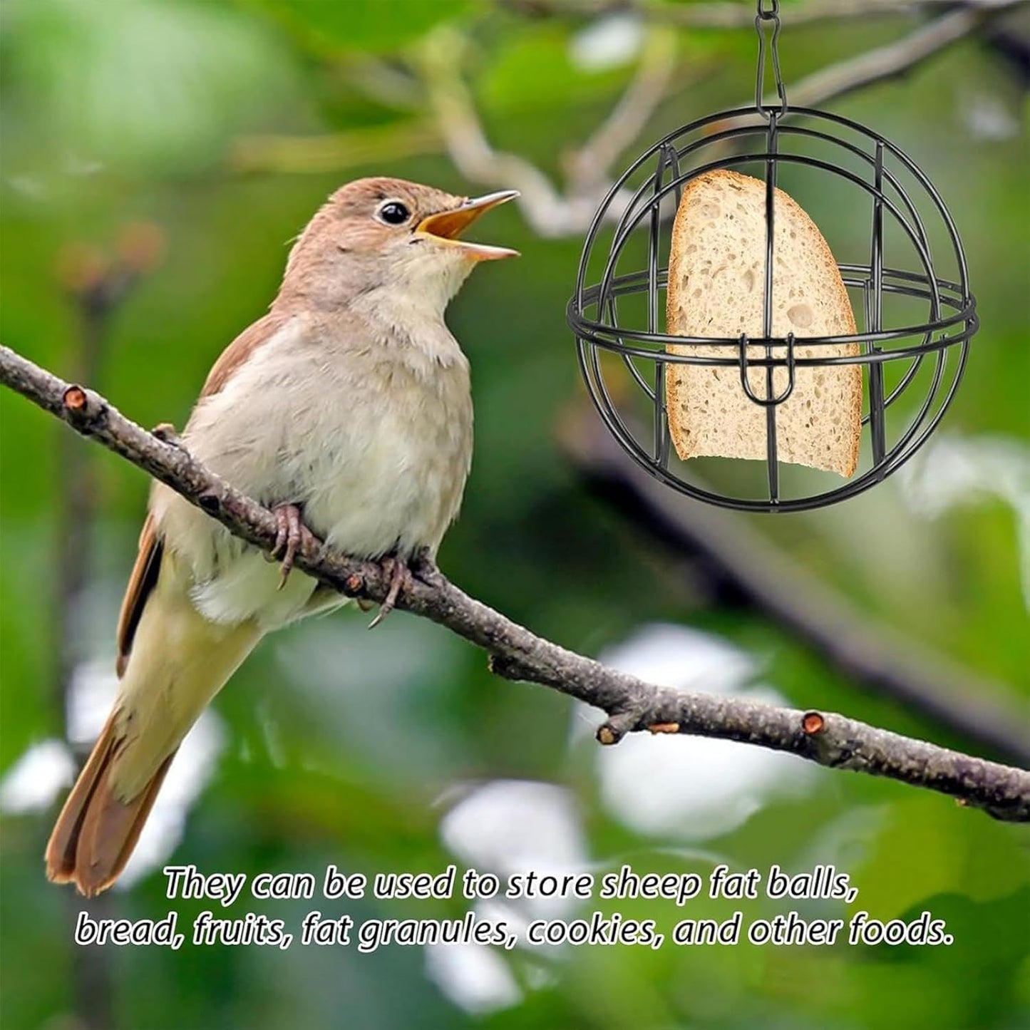 Bird Feeder Set - 8 Pieces Metal Sphere, Heavy Duty Outdoor Ball Feeders, Bird Feeding Station for Finches Robins Sparrows, Canary Budgies Backyard Balcony, Patio Terrace Garden Decor, Wildlife