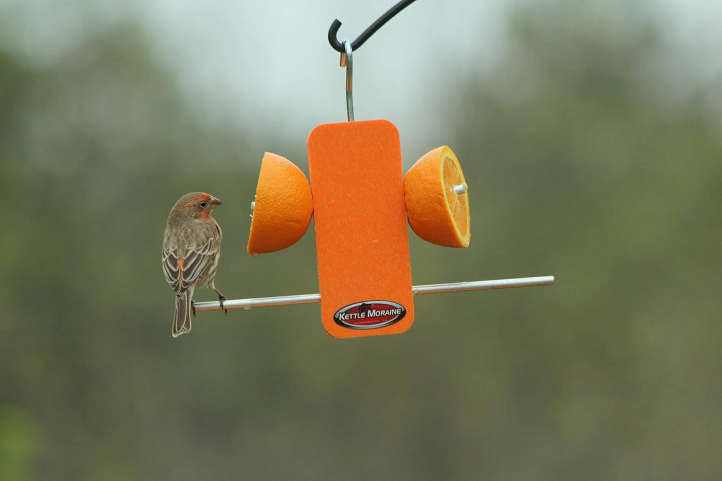 Kettle Moraine Recycled Single Oriole Orange Fruit Stick Feeder