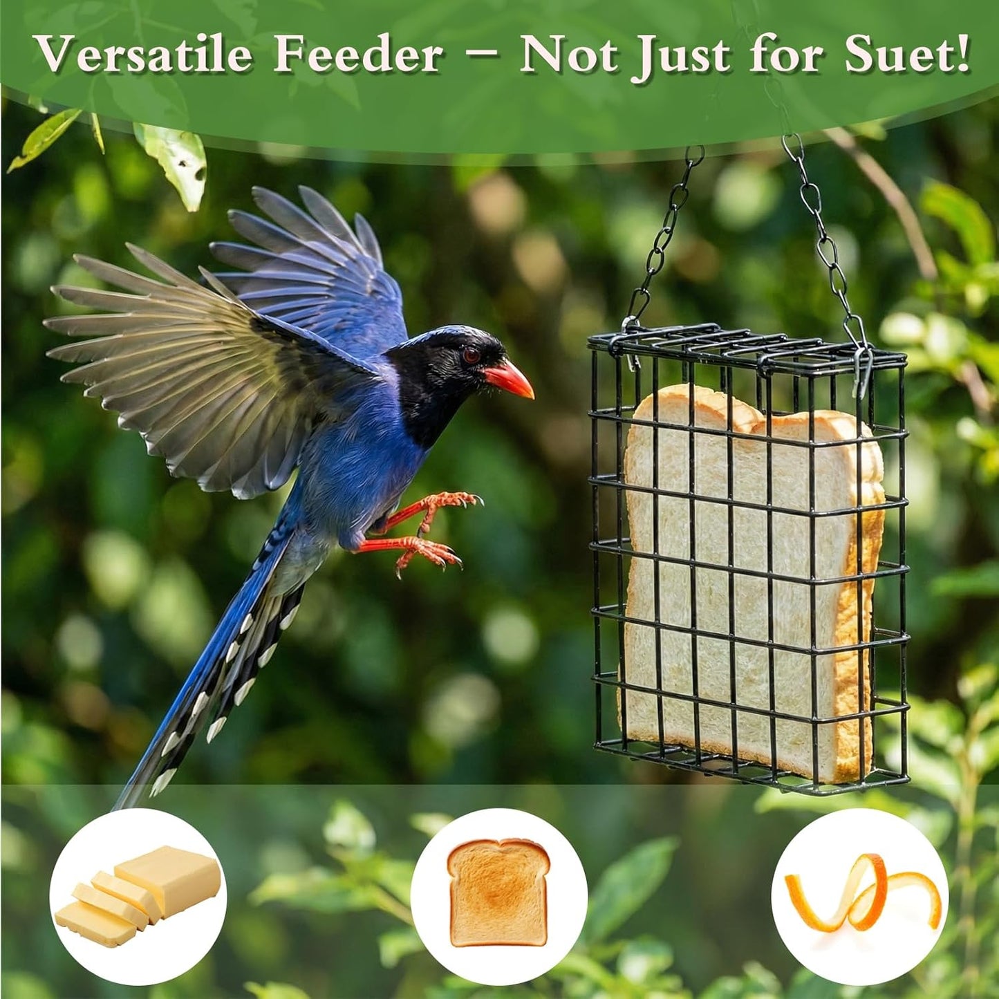 4 Pcs Suet Bird Feeders for Outside Hanging, Metal Wild Bird Food Cage with Heavy Duty Chain & Secure Latch, Single Suet Cake, One Suet Capacity for Suet Cakes Bread Fruit