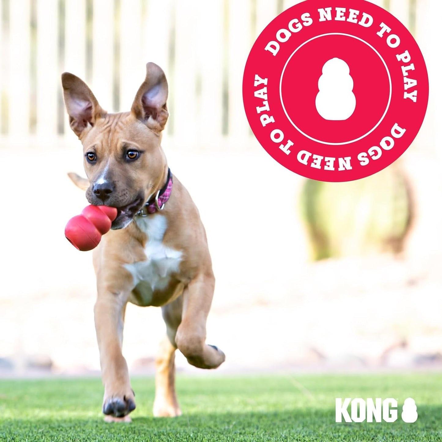 KONG Ring - Natural Rubber Ring Toy for Healthy Chewing Habits - Chew 