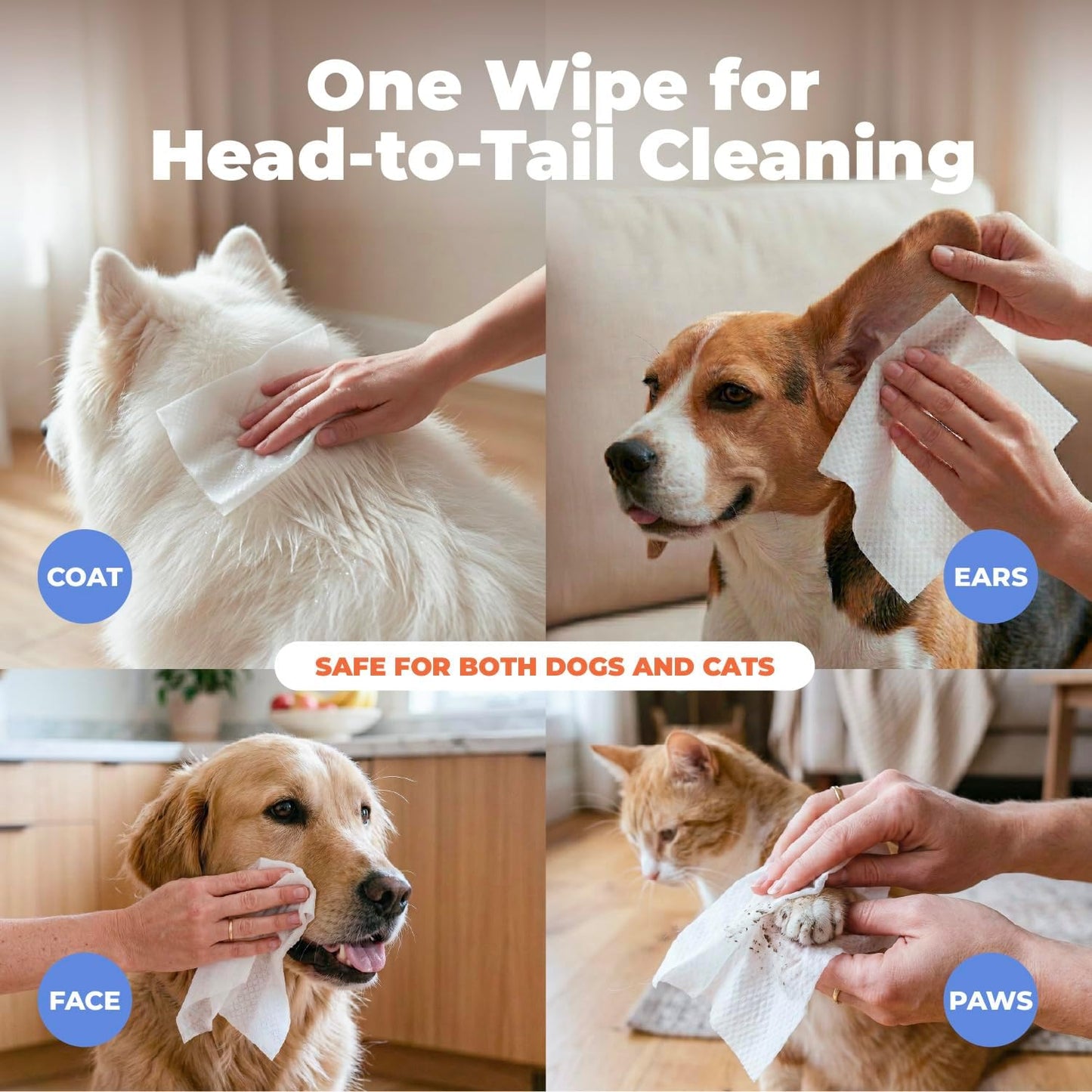 Best Pet Supplies 8" x 9" Large Dog Wipes - Cleaning and Deodorizing f