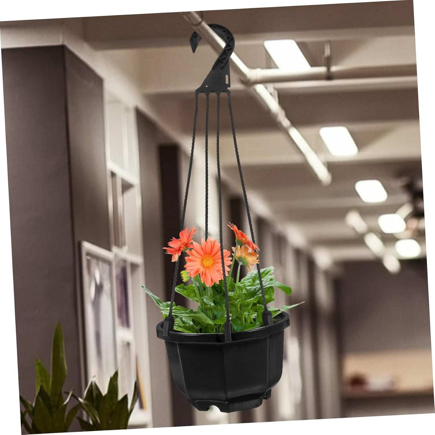 Milisten 5Pcs Durable Flower Pot Hanging Hooks for Wall Planters Easy 