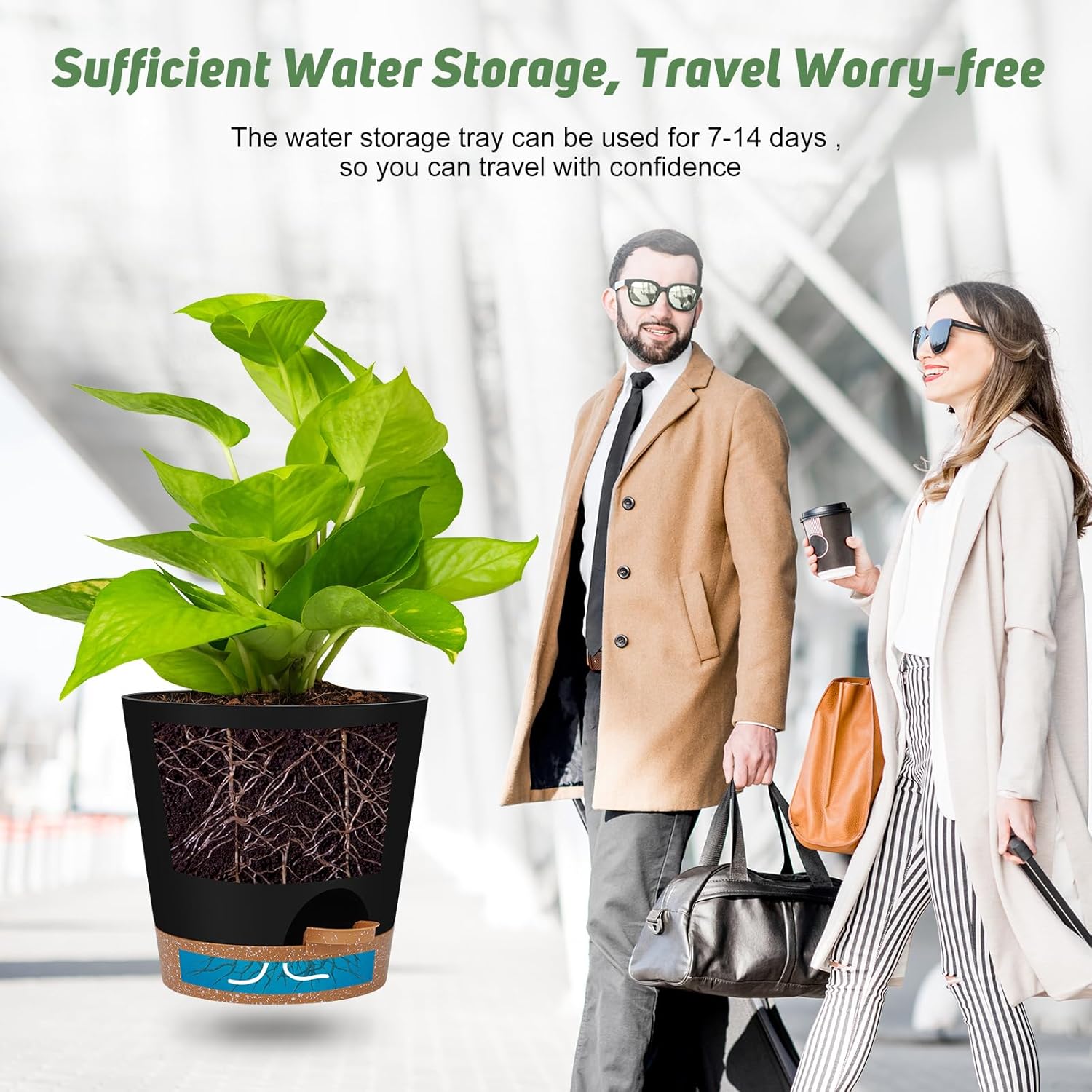 Indoor Self Watering Planters with Drainage Holes and Saucers, 8, 7, 6
