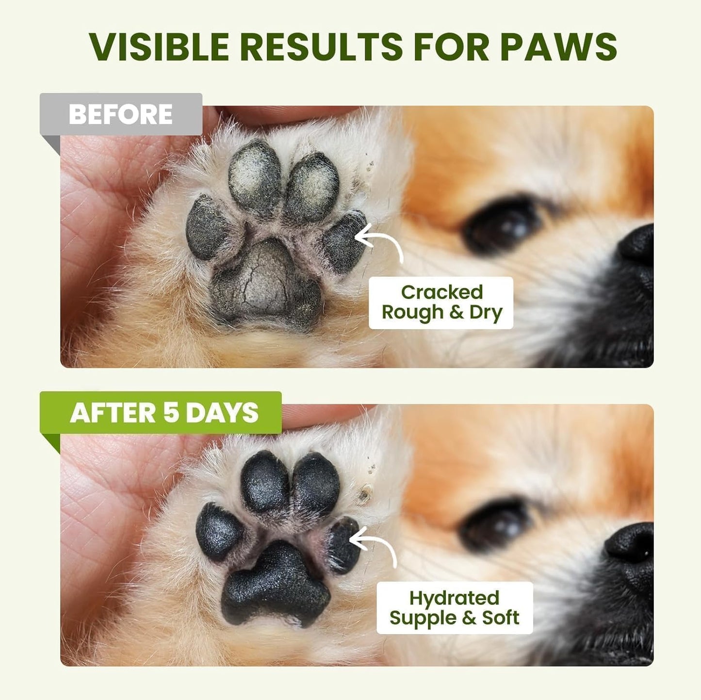 Lick-Safe Dog Paw & Nose Balm with Coconut Oil | All-Natural Moisturiz