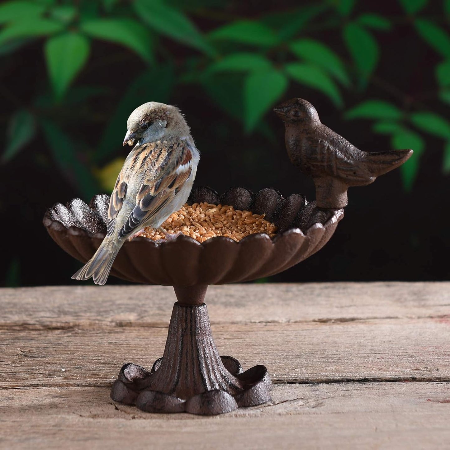 BRASSTAR Cast Iron Wild Bird Feeders 6.7”Birdbath for Outdoors Patio Yard Garden Villa Decor TQZDPT48