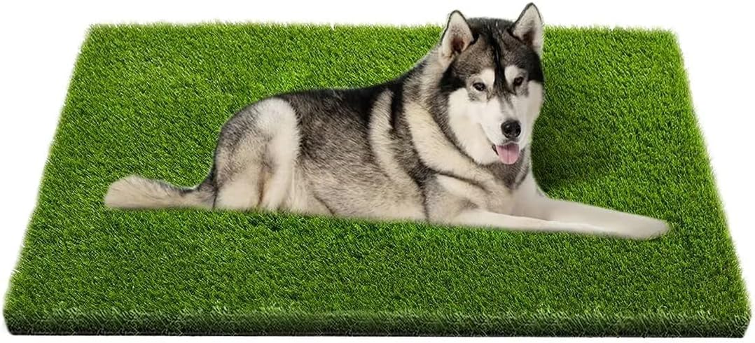 Artificial Grass, Professional Dog Grass Mat, Potty Training Rug and R