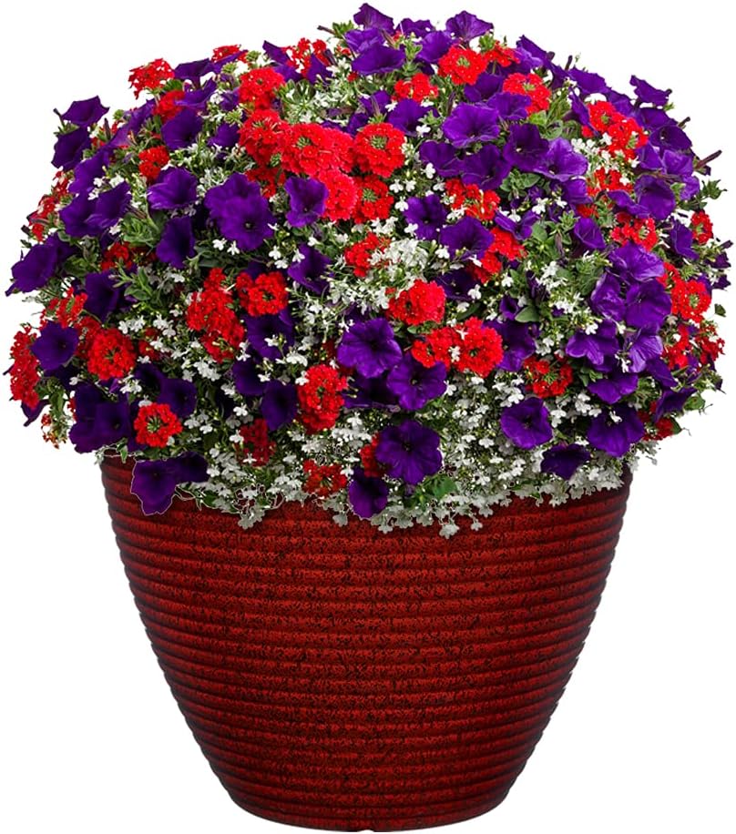 Classic Home and Garden Cali Modern Round Resin Planter for Indoor Out