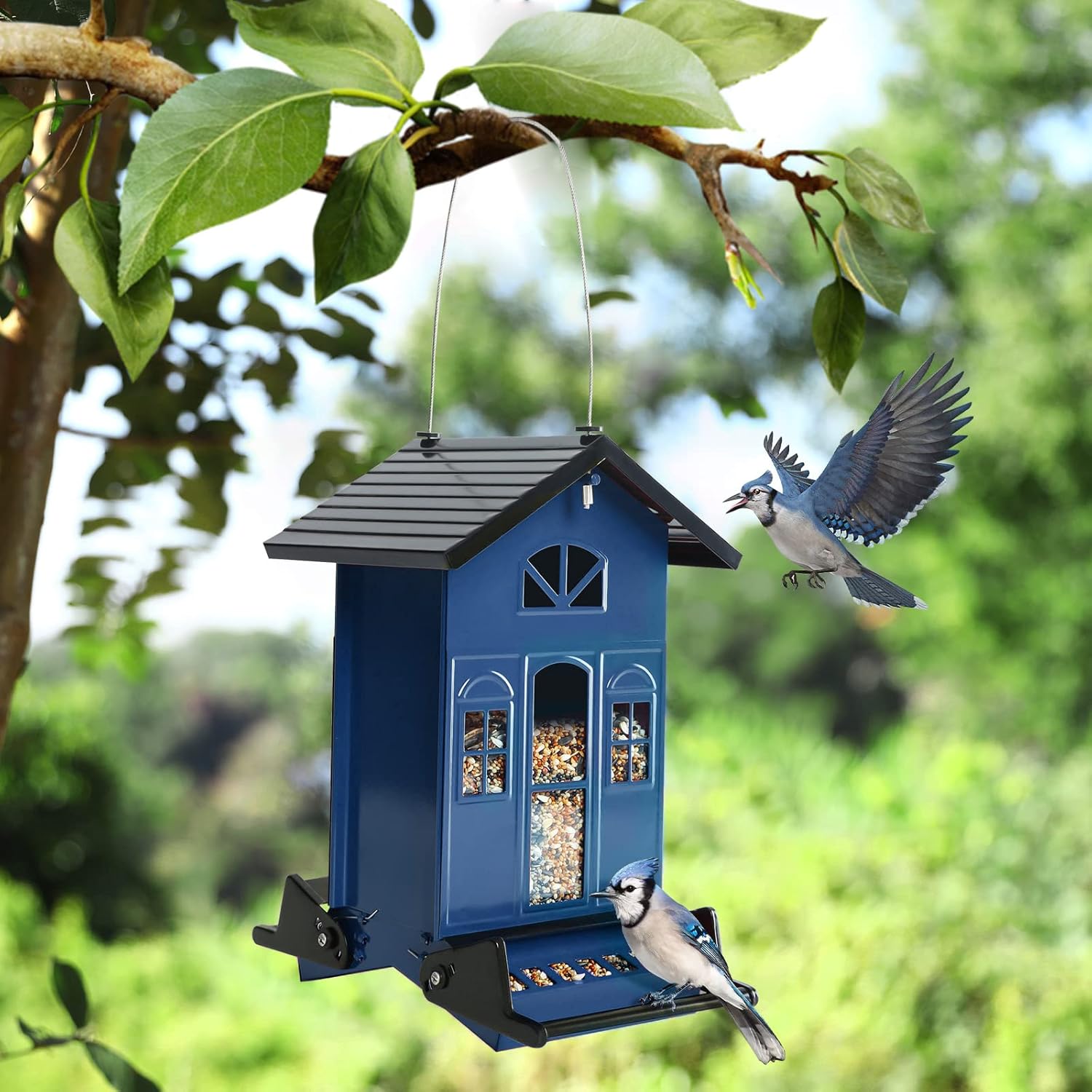 Birdkiss Bird Feeder Squirrel-Proof Outside: Country House Series for 