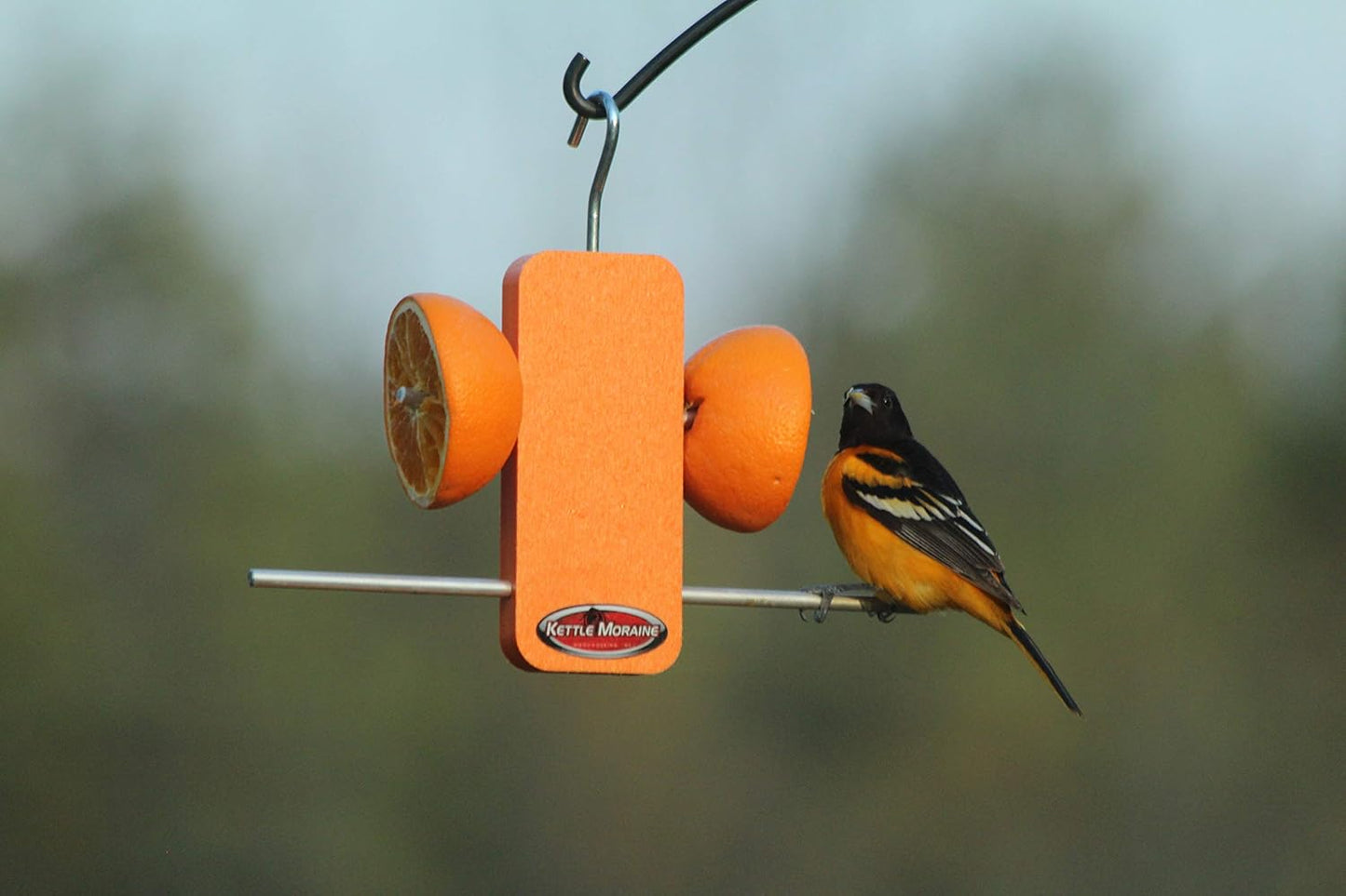 Kettle Moraine Recycled Single Oriole Orange Fruit Stick Feeder