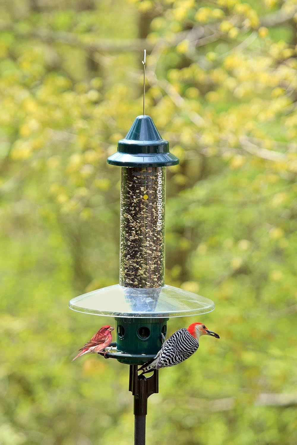 Pole Adaptor for Pole Mounting a Squirrel Buster Plus Bird Feeder, Black (FEEDER & POLE NOT INCLUDED), for 1-inch Pole ONLY