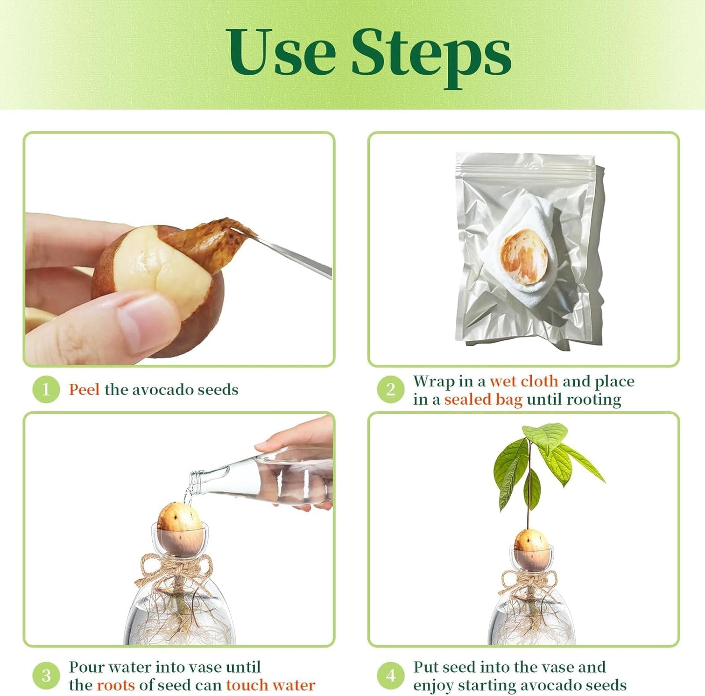 Hewory Avocado Seed Starter Vase: 3 Pcs Glass Avocado Tree Growing Kit Pot for Indoor Plant - Rustic Acorn Vases for Plant Gardening Lovers