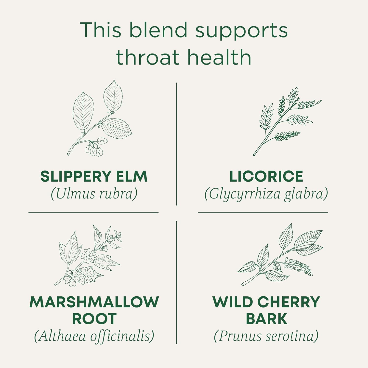 Traditional Medicinals Tea, Organic Throat Coat, Supports Throat Healt