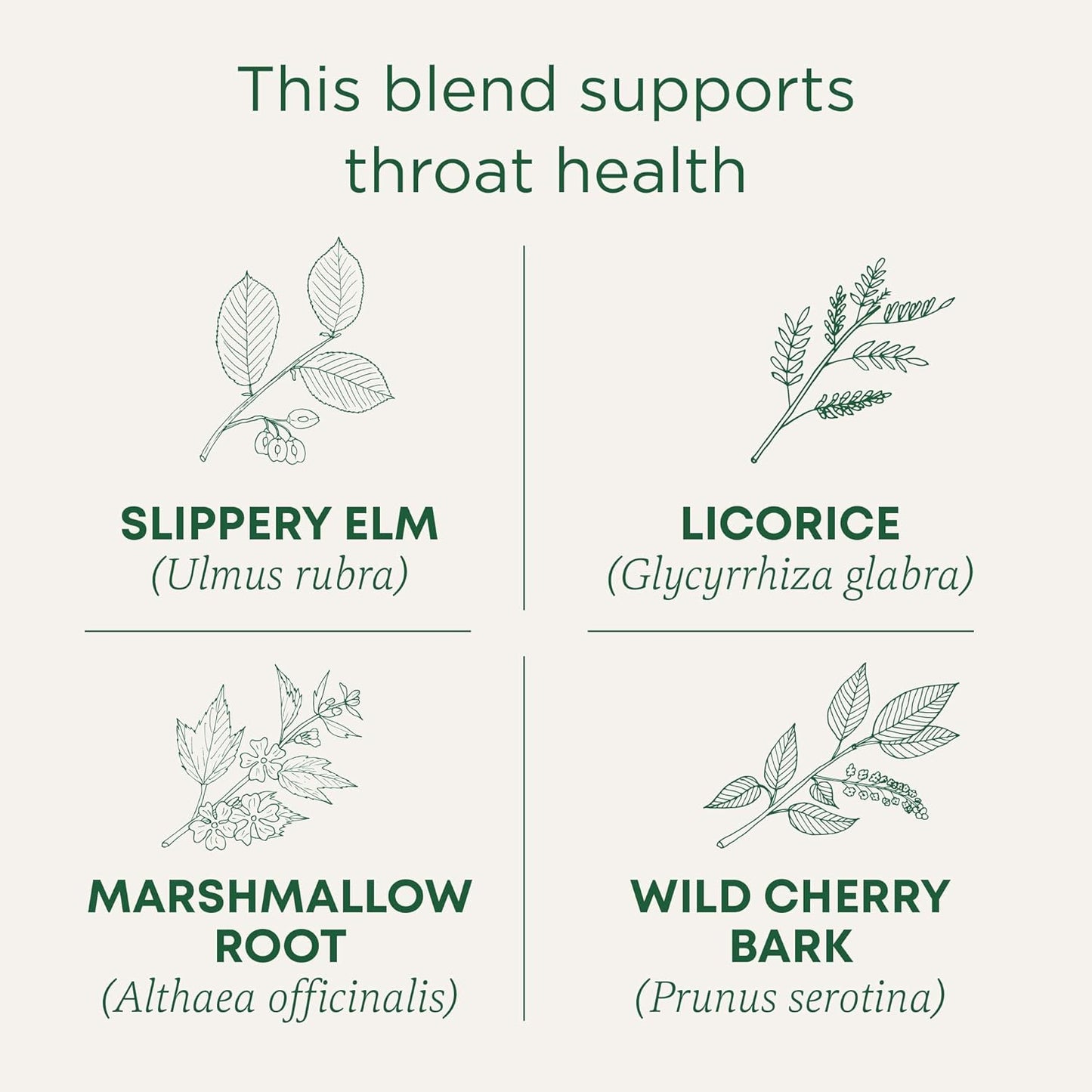 Traditional Medicinals Tea, Organic Throat Coat, Supports Throat Health, 96 Tea Bags (6 Pack)