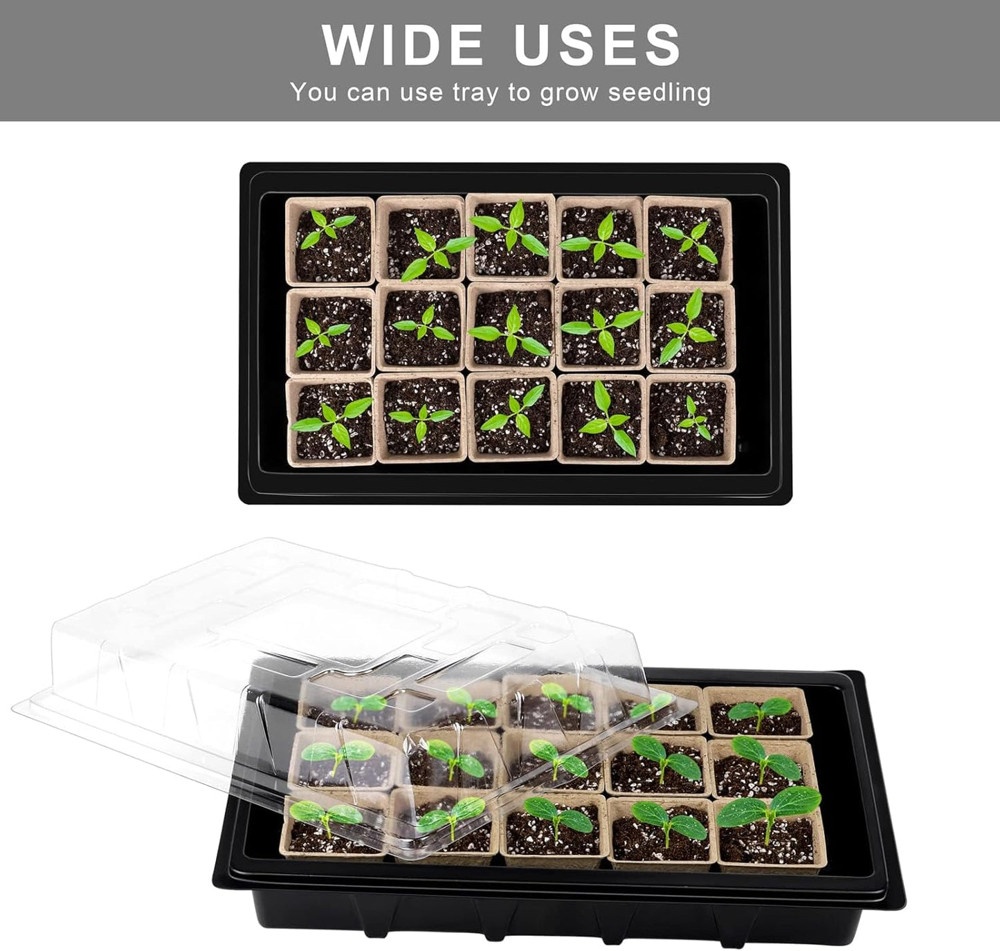 Aodaer 193 Pack Seed Starter Kit Including Seed Starter Tray Peat Pots