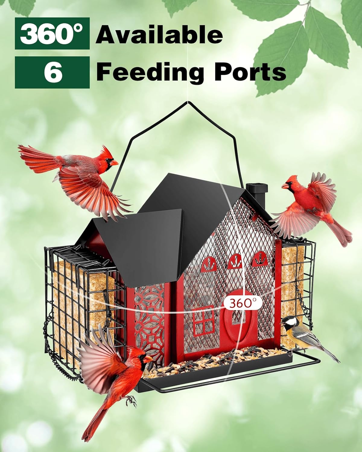 Bird Feeders for Outdoors Hanging - Metal Bird Feeder with Double Suet