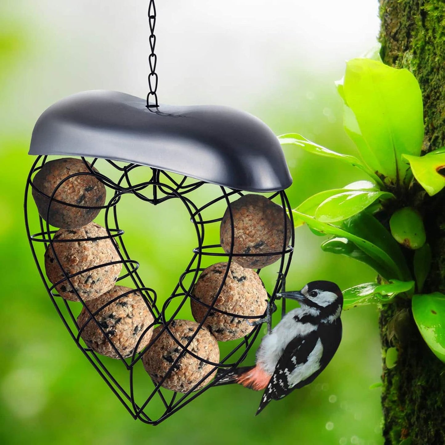 Hanging Feeder for Wild Birds Feeder Basket for Lovebirds Finches Canaries- Wild Bird Feeding Food Dispenser Storage