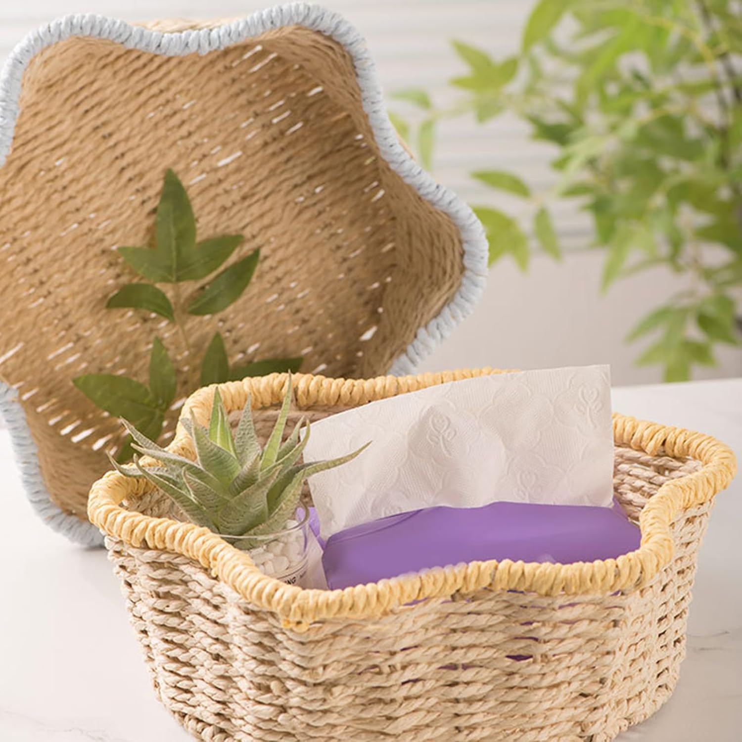 Handwoven Paper Rope Basket with Iron Frame Desktop Plant Holder & Hom