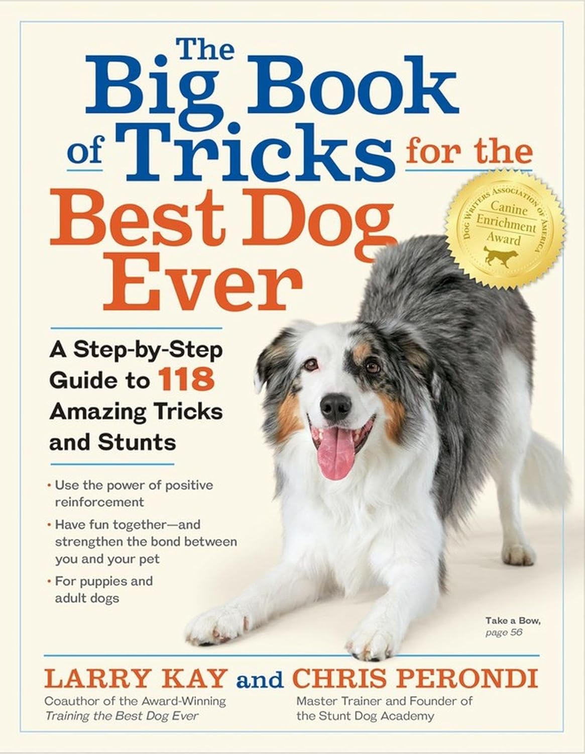 The Big Book of Tricks for the Best Dog Ever: A Step-by-Step Guide to 