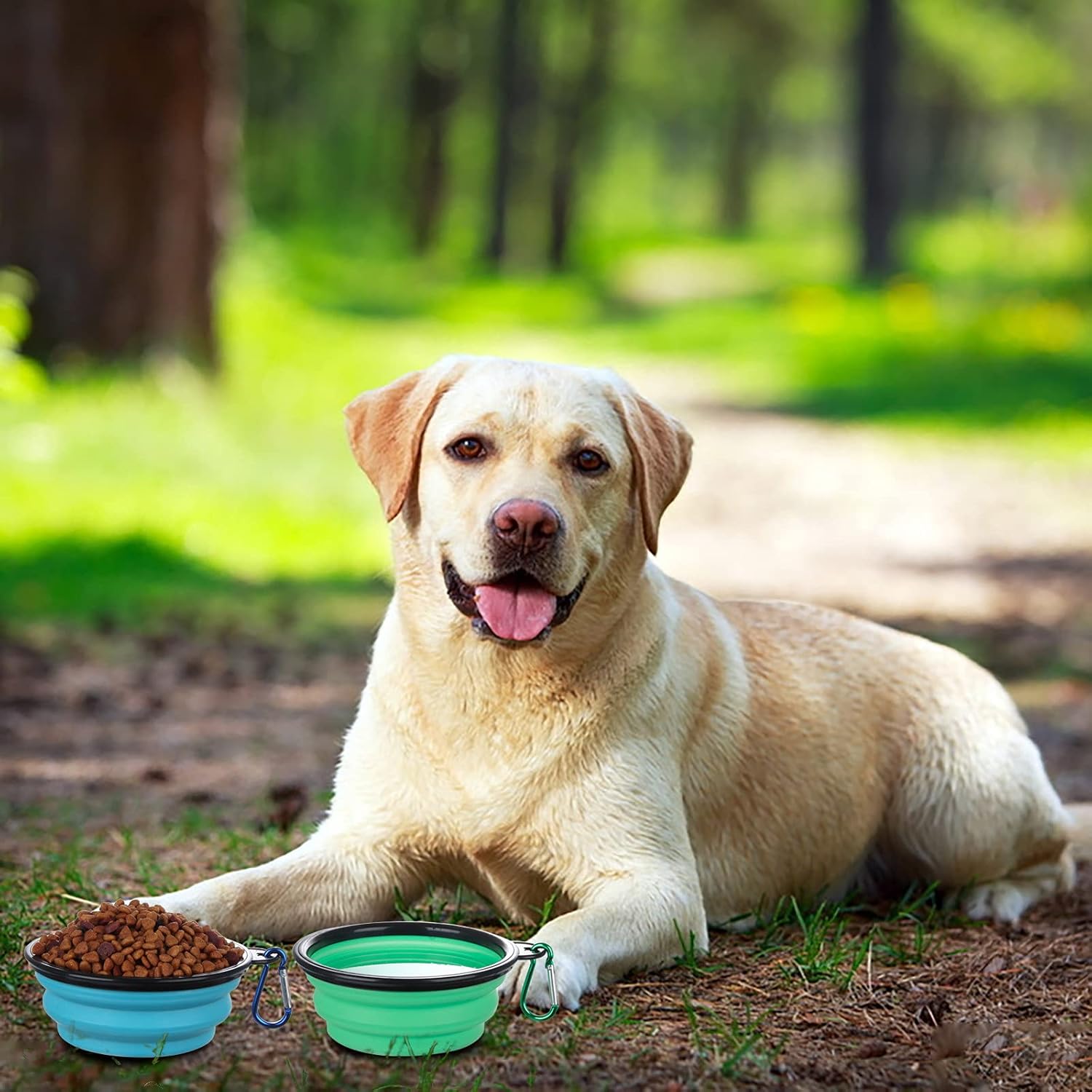 SLSON Collapsible Bowl with Cover Lids,2 Pack Dog Travel Bowls Portabl