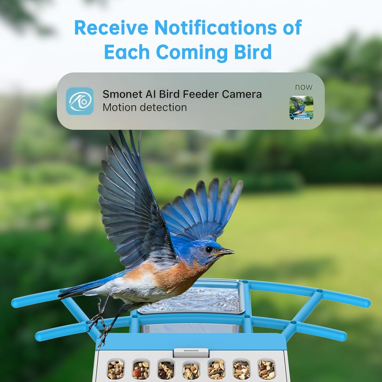 SMONET Bird Feeder with Camera B300: Smart Birdhouse Camera AI Recognition Solar Powered,Outdoor Wireless WiFi Birdfeeder Watching Live Video,Funny Birthday Gifts for Mom Mother Grandma Daughter
